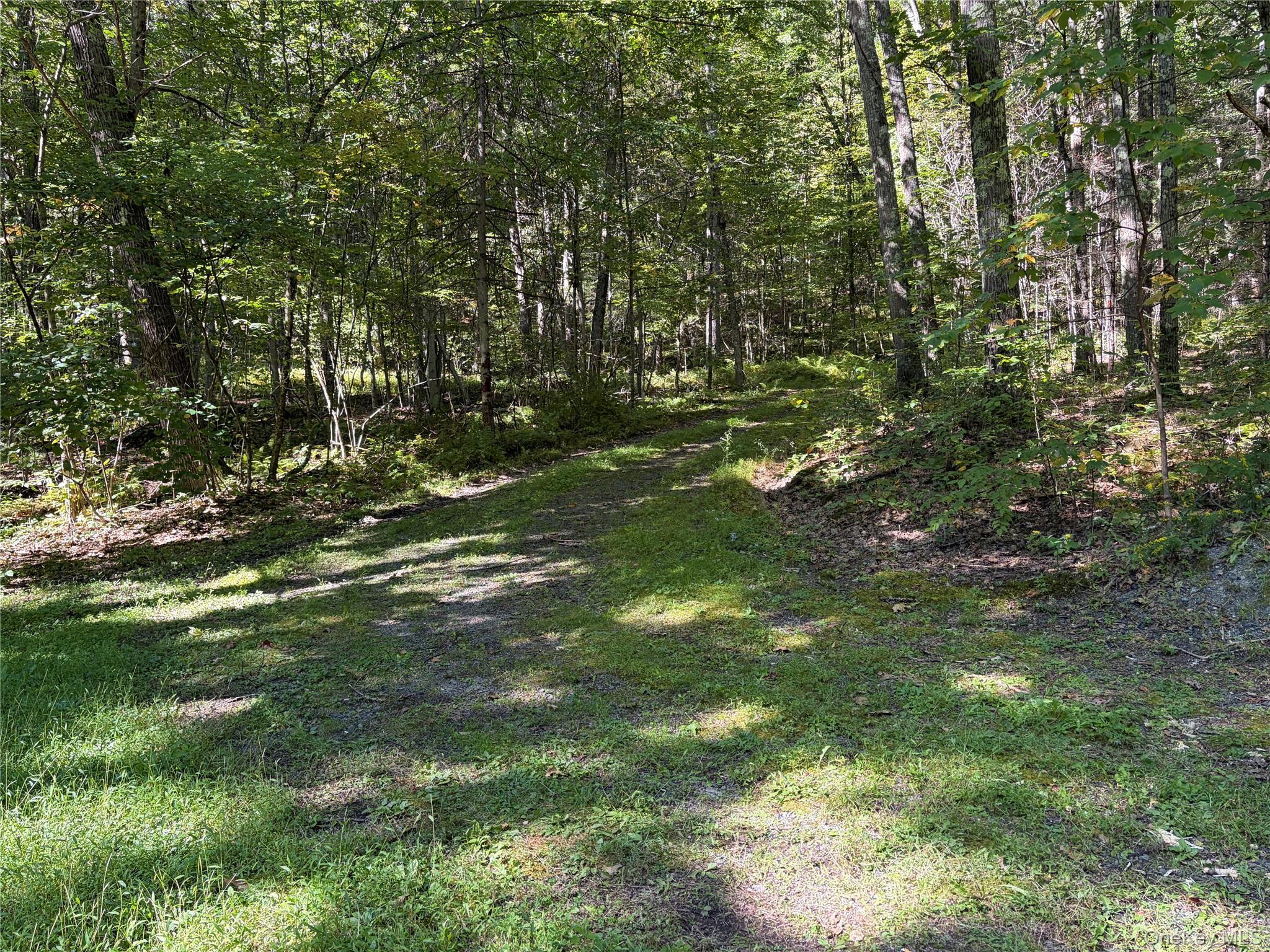 Single Family Acid Factory Road Delaware County, NY 12760, MLS-1054988-9