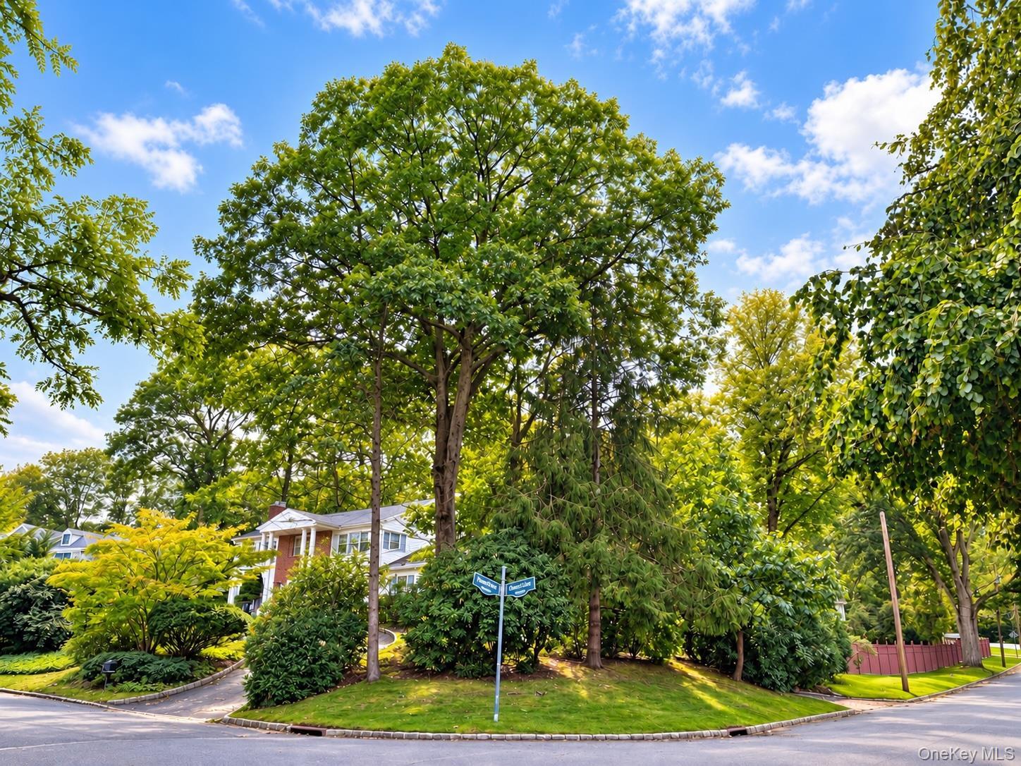 Single Family Orchard Court  Nassau County, NY 11797, MLS-1054993-4