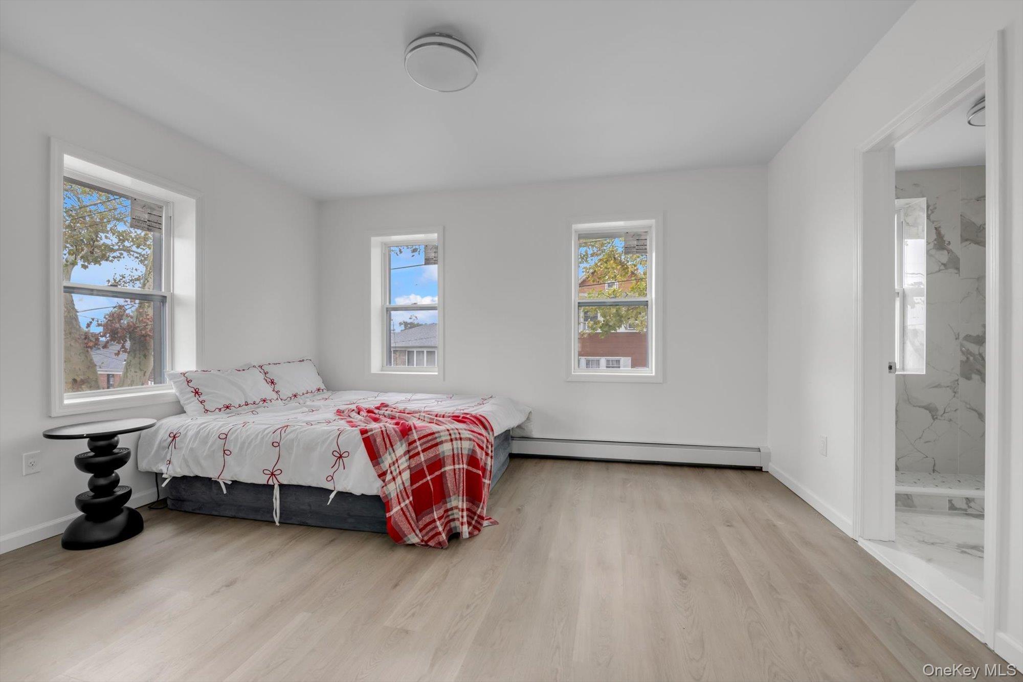 Single Family 126th Street  Queens, NY 11354, MLS-1055051-12