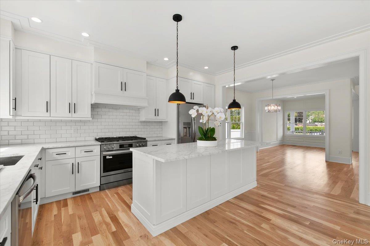Single Family Willis Avenue  Nassau County, NY 11791, MLS-1055098-18