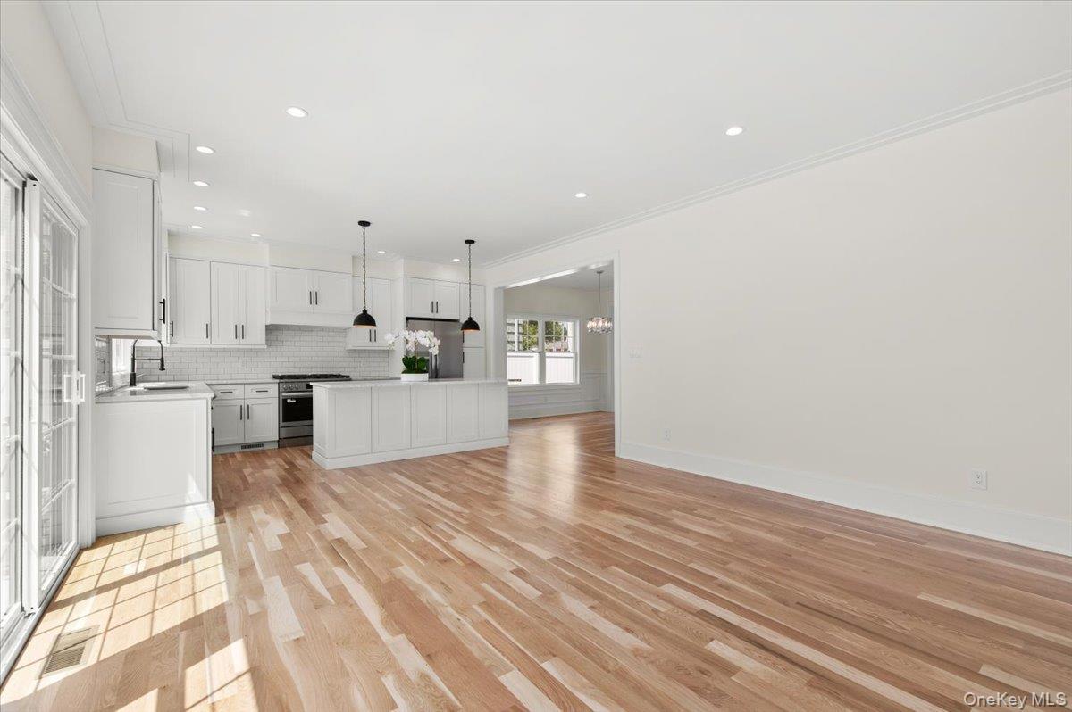 Single Family Willis Avenue  Nassau County, NY 11791, MLS-1055098-24