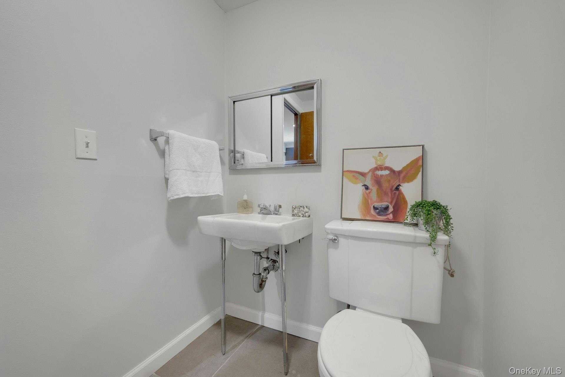 Single Family Leone Close  Westchester County, NY 10583, MLS-1055102-36