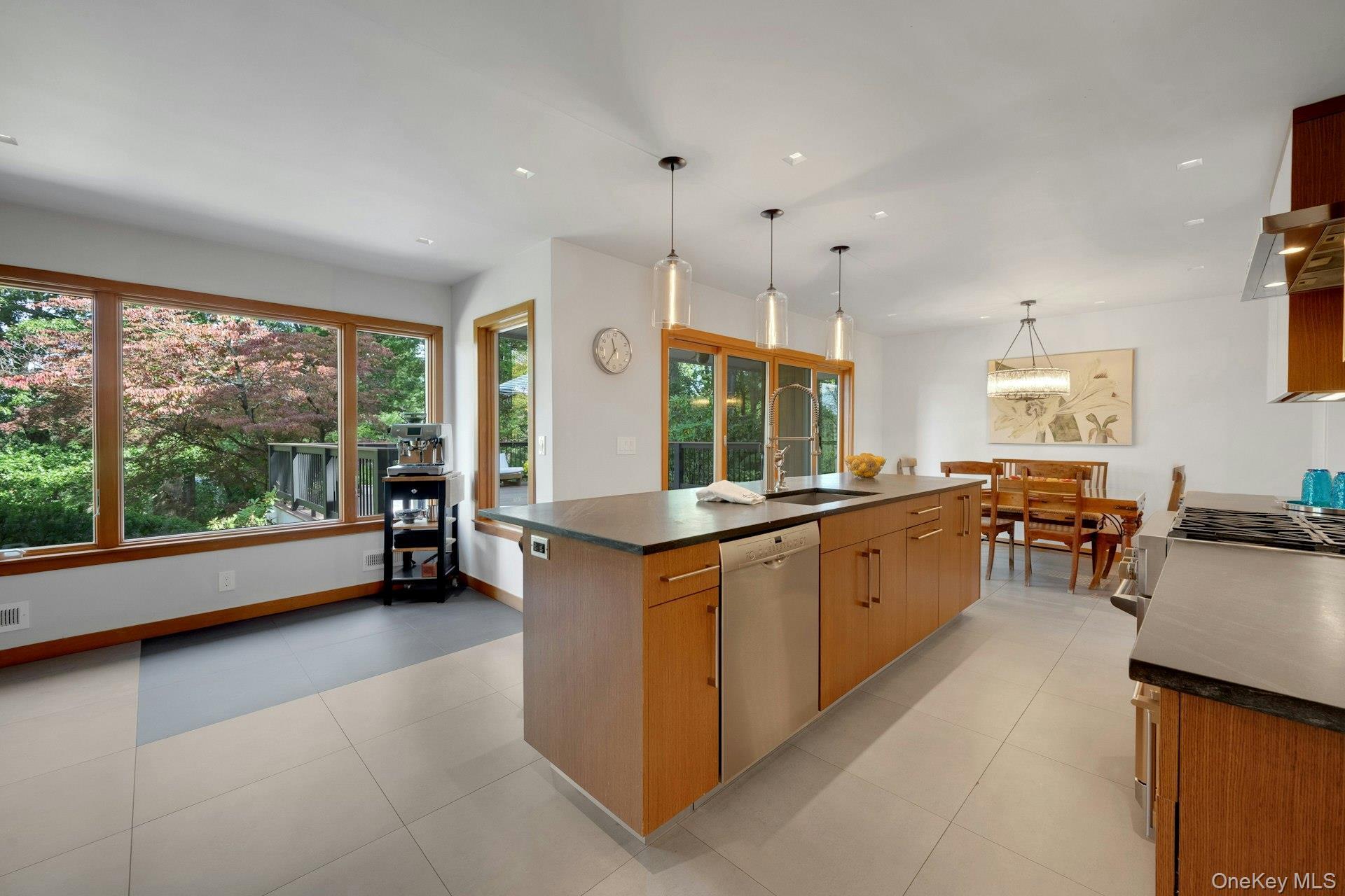 Single Family Leone Close  Westchester County, NY 10583, MLS-1055102-4