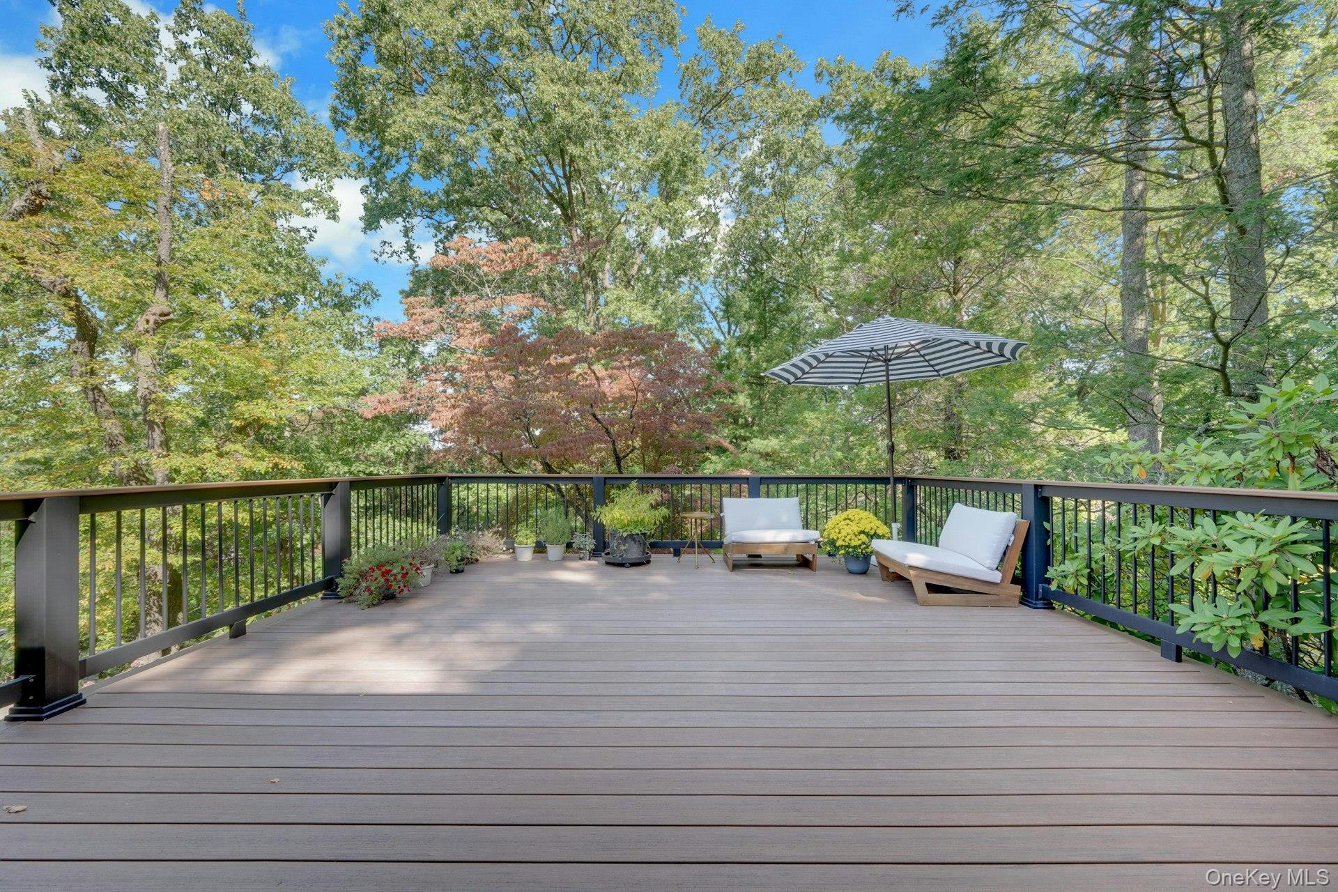 Single Family Leone Close  Westchester County, NY 10583, MLS-1055102-43