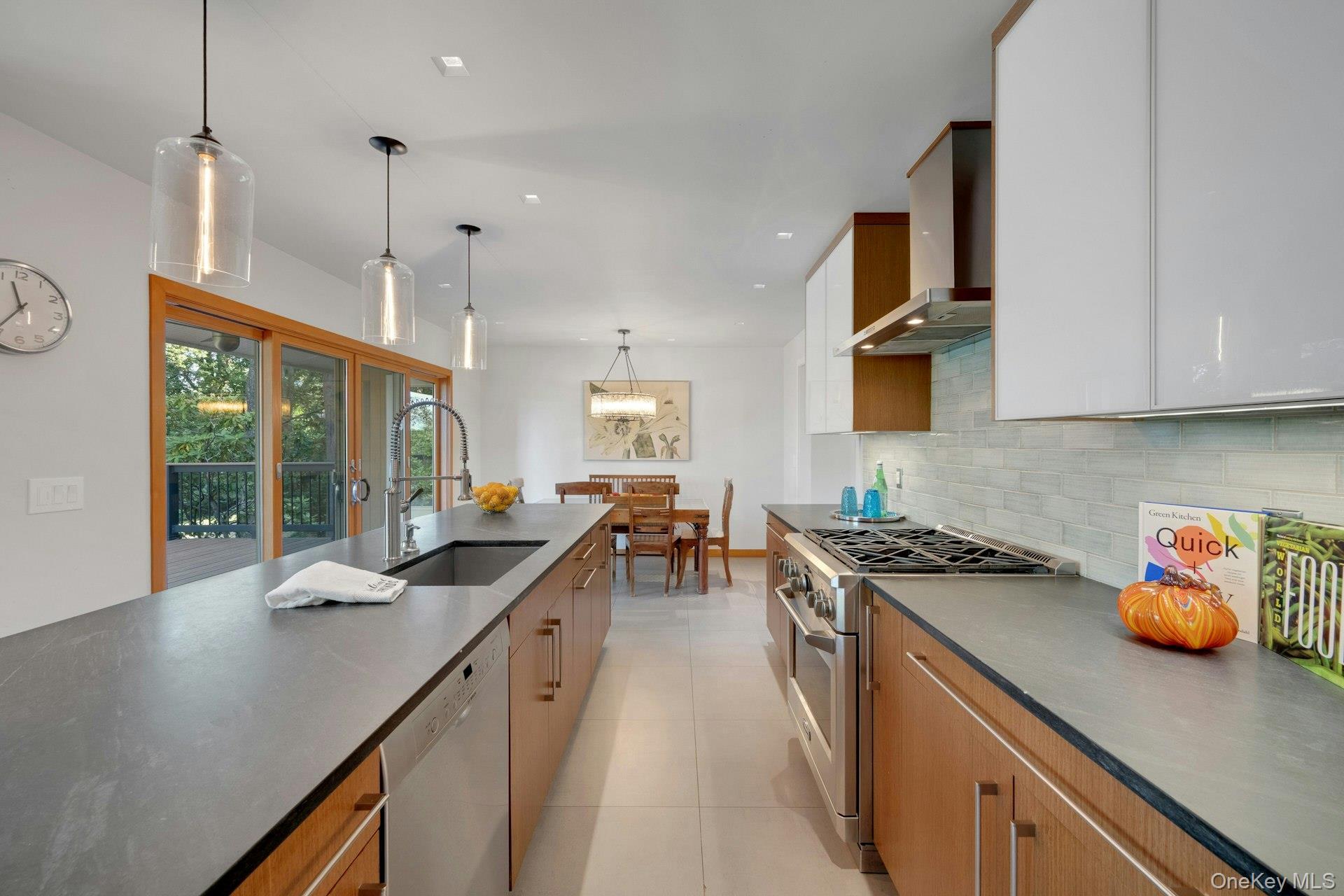Single Family Leone Close  Westchester County, NY 10583, MLS-1055102-8