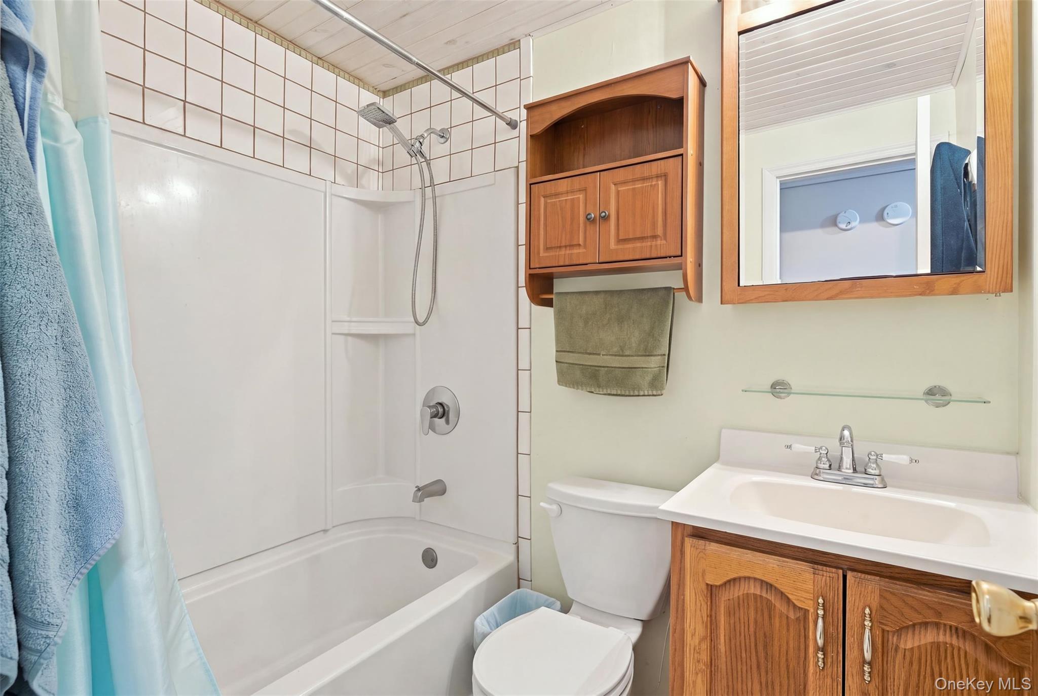 Single Family Birchwood Drive Ulster County, NY 12566, MLS-1055178-16