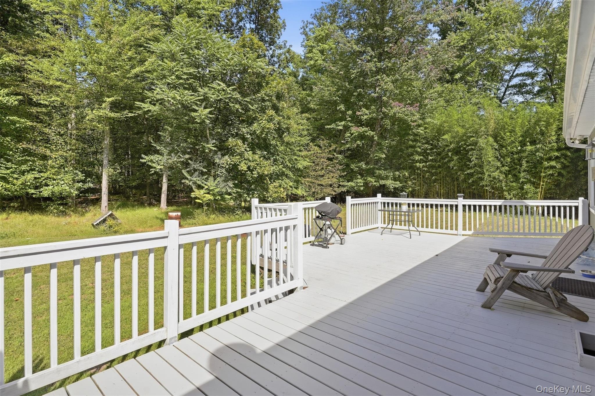 Single Family Birchwood Drive Ulster County, NY 12566, MLS-1055178-19