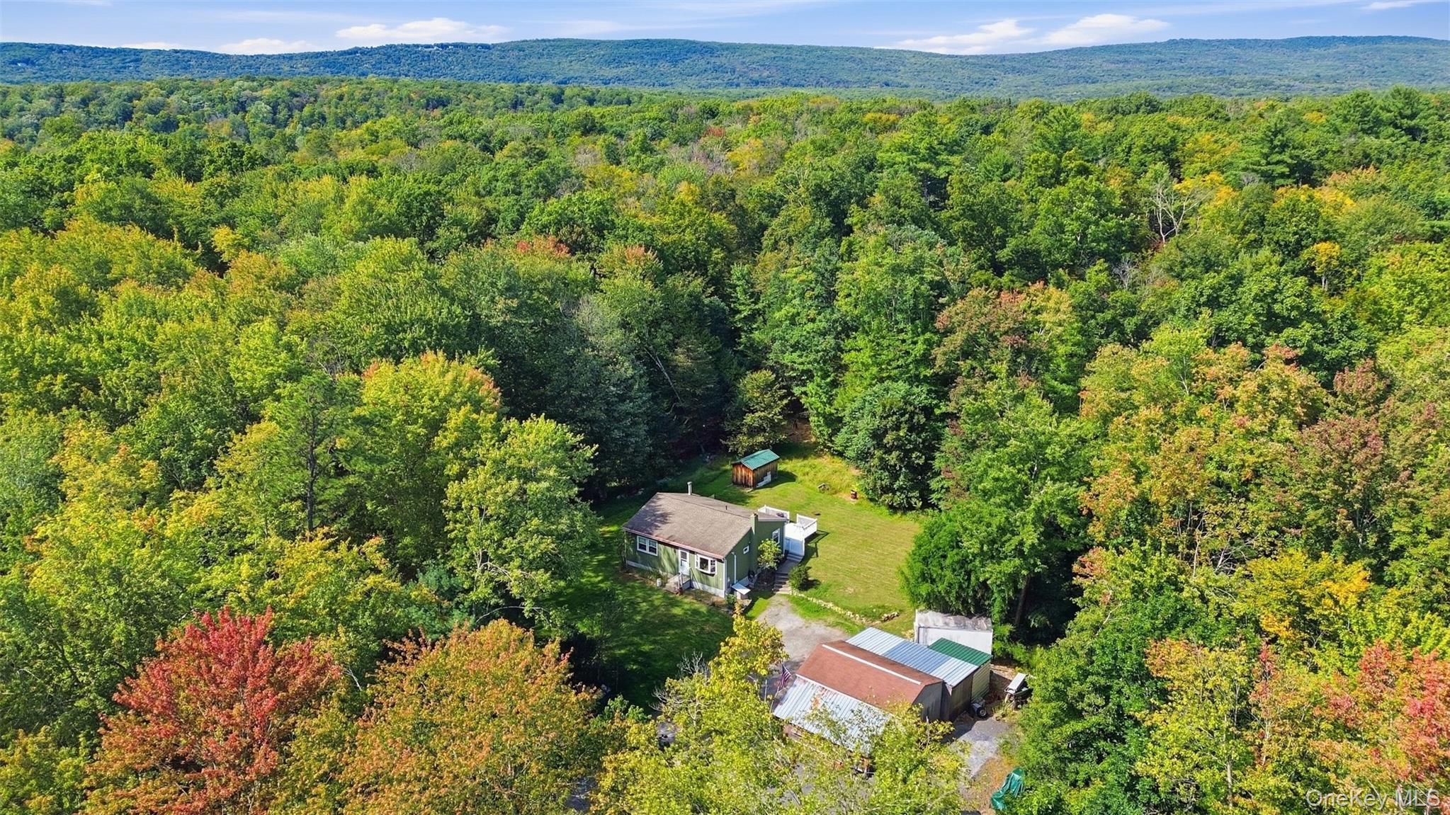 Single Family Birchwood Drive Ulster County, NY 12566, MLS-1055178-2