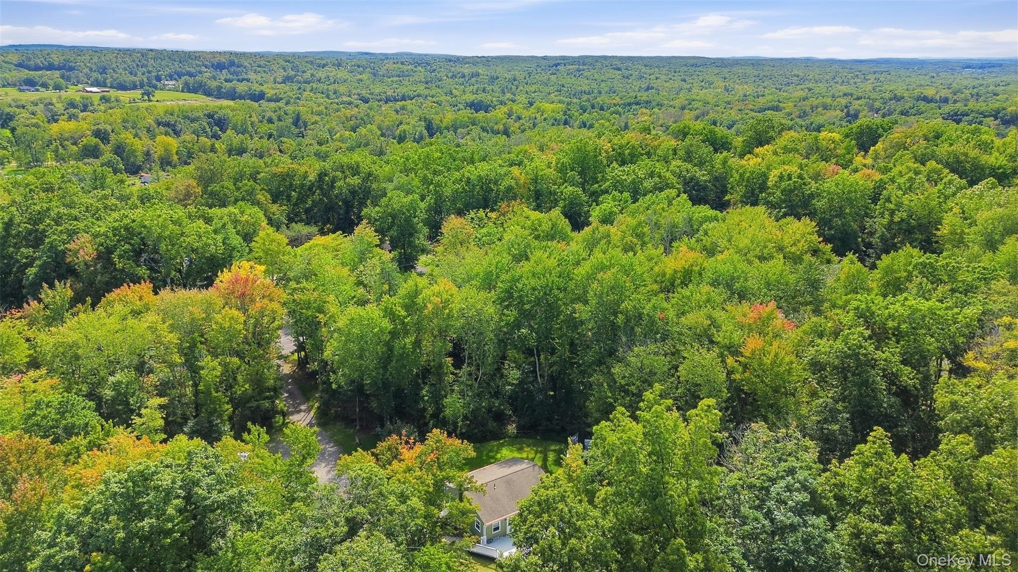 Single Family Birchwood Drive Ulster County, NY 12566, MLS-1055178-30