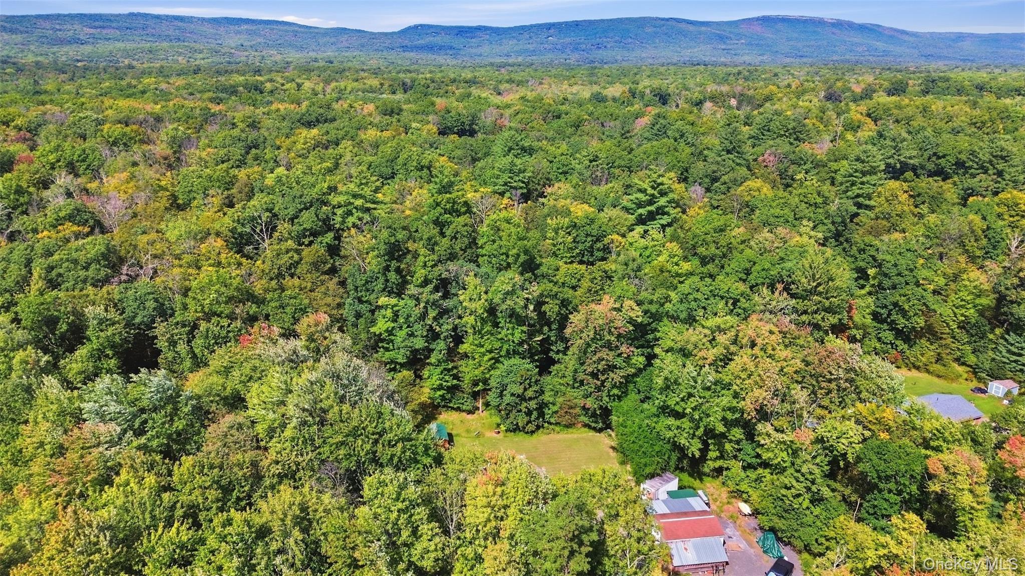 Single Family Birchwood Drive Ulster County, NY 12566, MLS-1055178-32