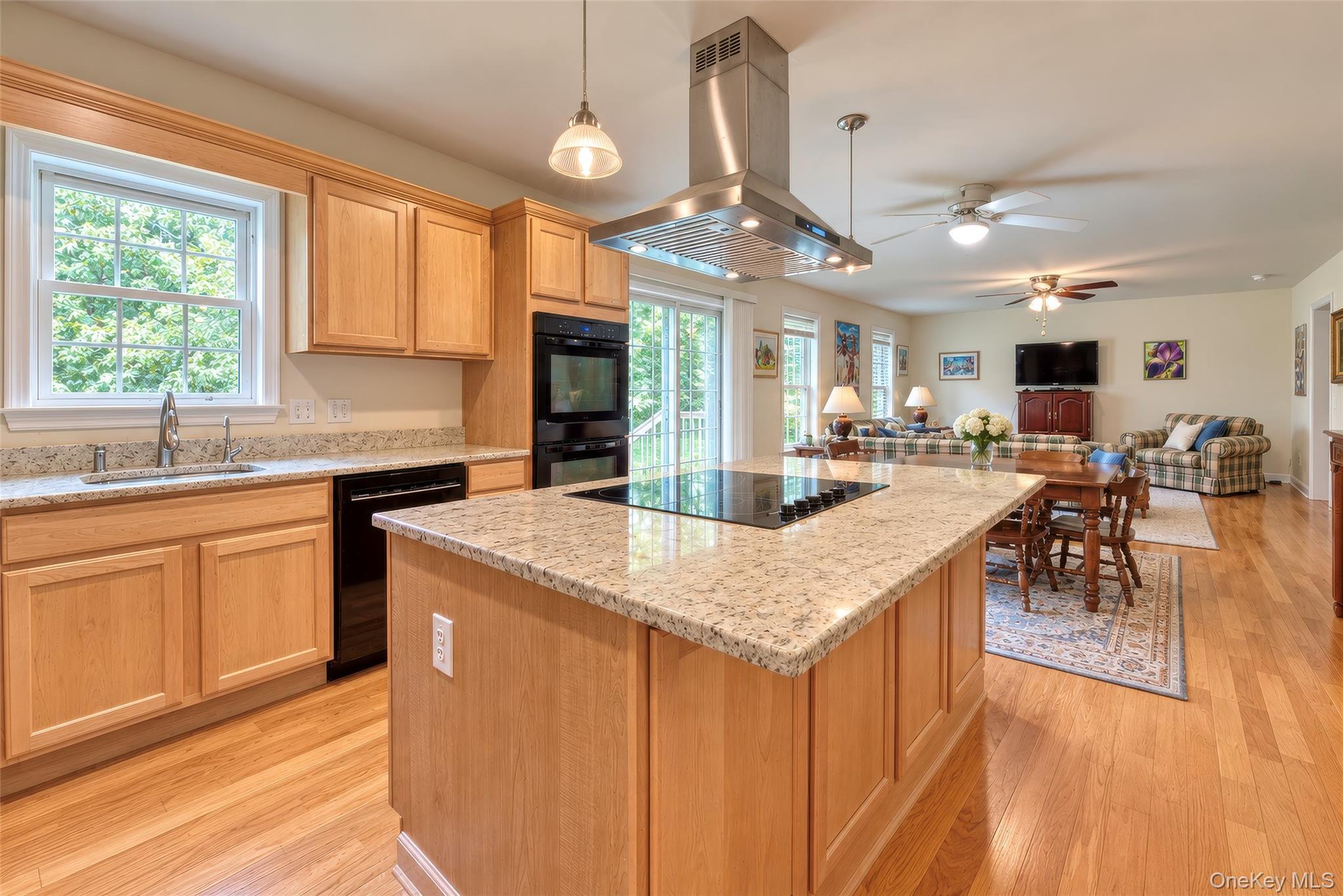 Single Family Pier Avenue  Suffolk County, NY 11901, MLS-1055304-4