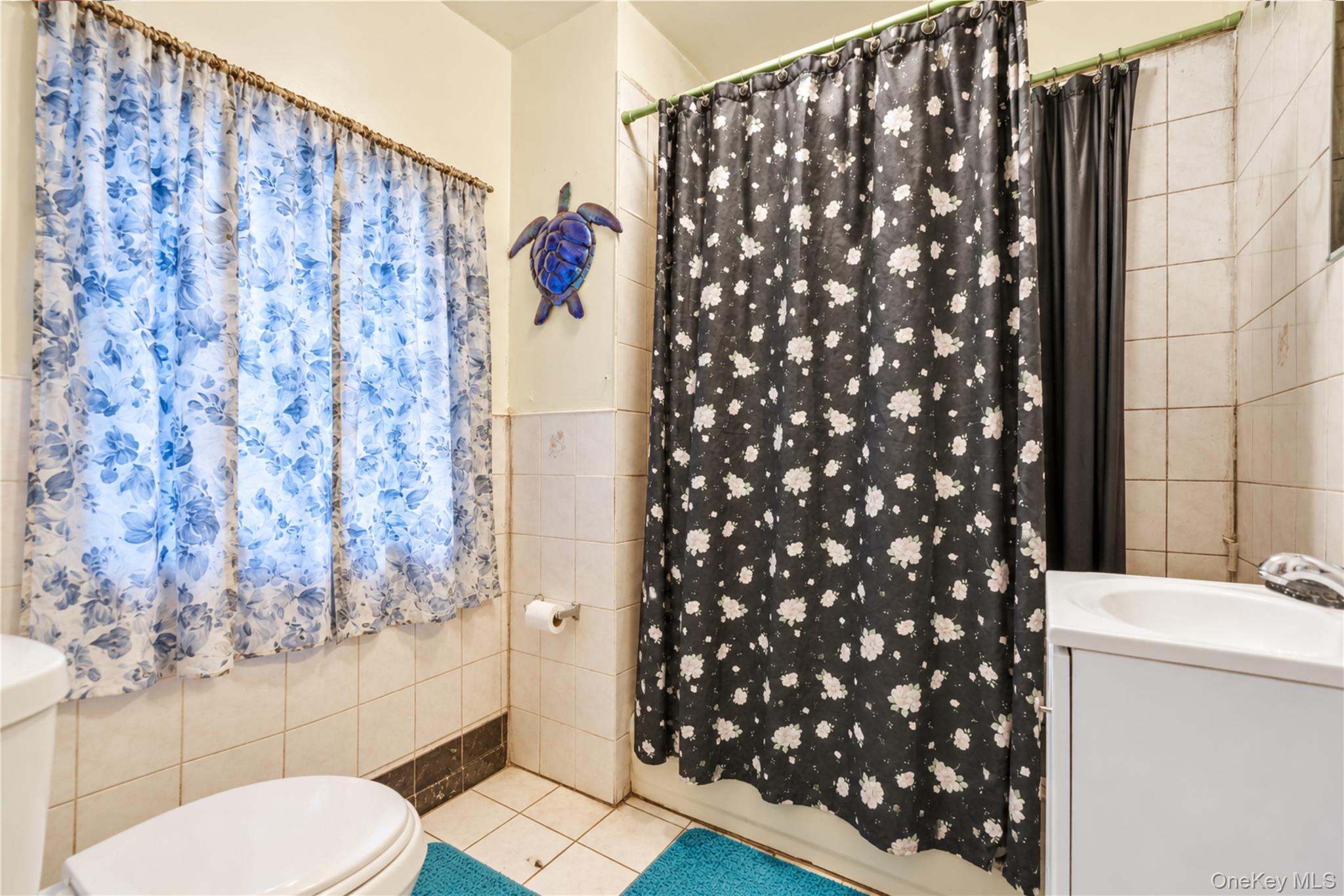 Single Family Schenck Avenue Brooklyn, NY 11207, MLS-1055375-14