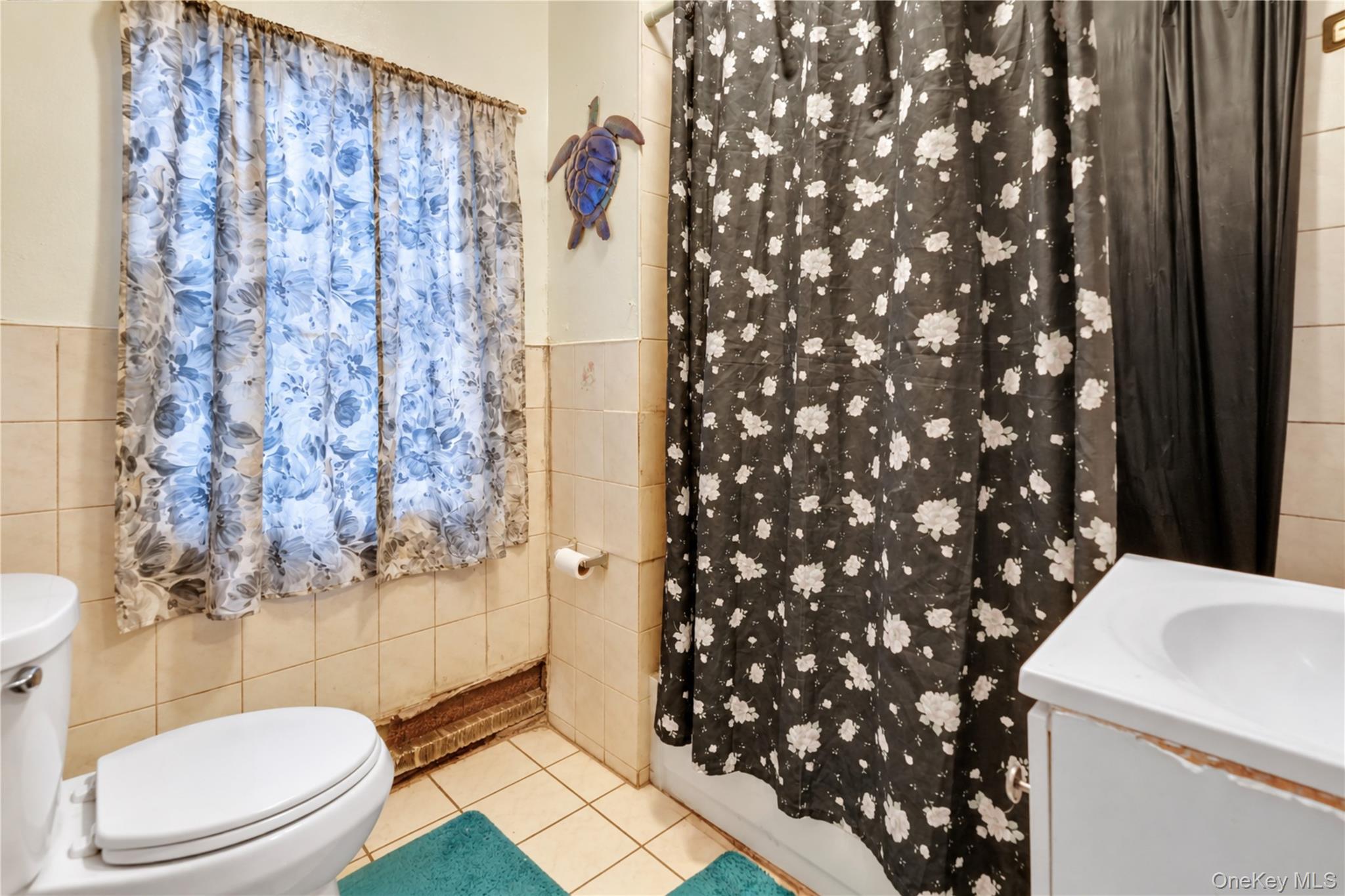 Single Family Schenck Avenue Brooklyn, NY 11207, MLS-1055375-15