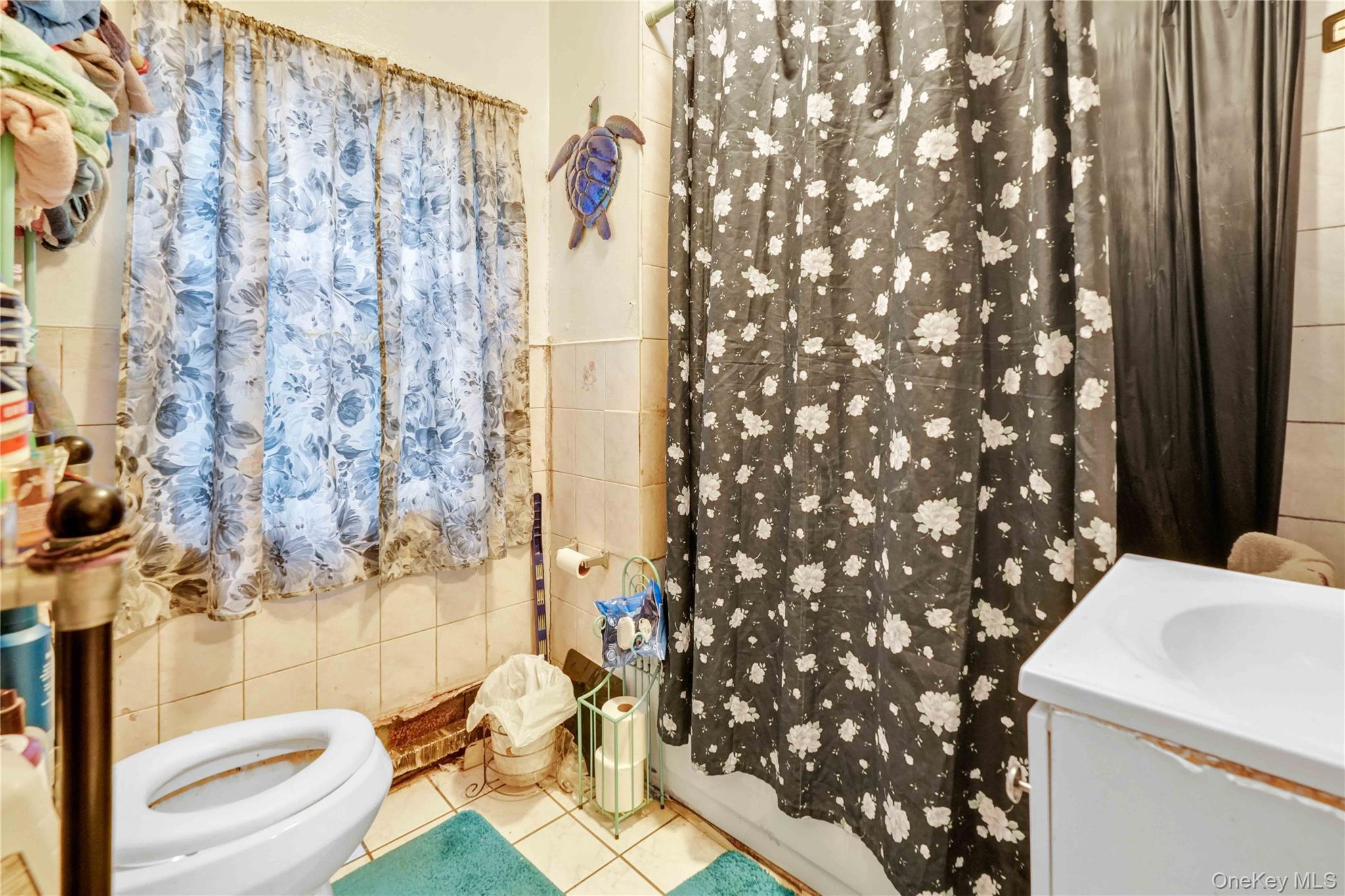 Single Family Schenck Avenue Brooklyn, NY 11207, MLS-1055375-16