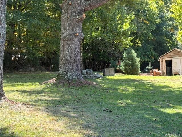 Single Family Katrina Falls Road Sullivan County, NY 12775, MLS-1055399-26