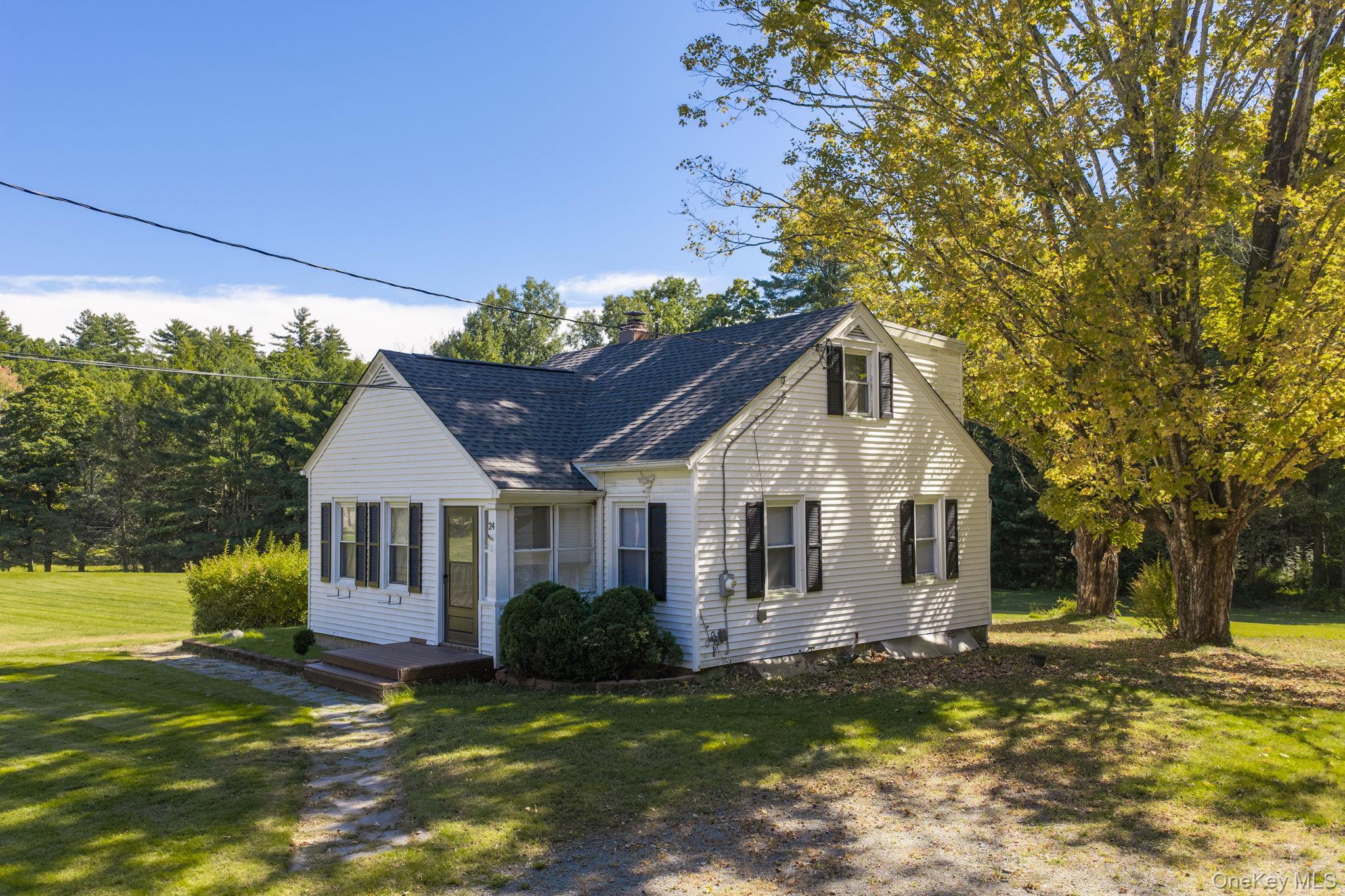 Single Family Wolf Lake Road Sullivan County, NY 12775, MLS-1055414-3