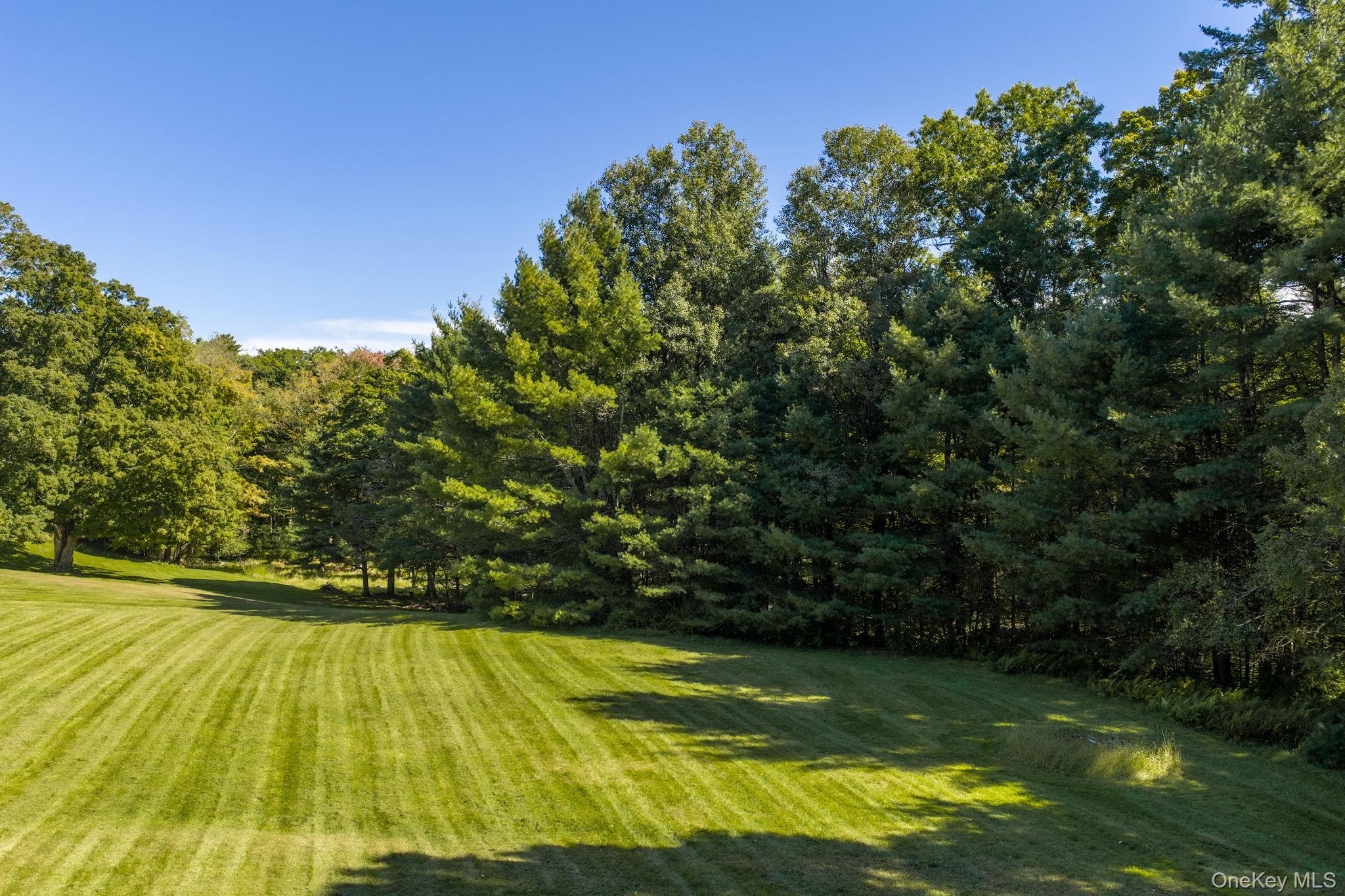 Single Family Wolf Lake Road Sullivan County, NY 12775, MLS-1055414-37