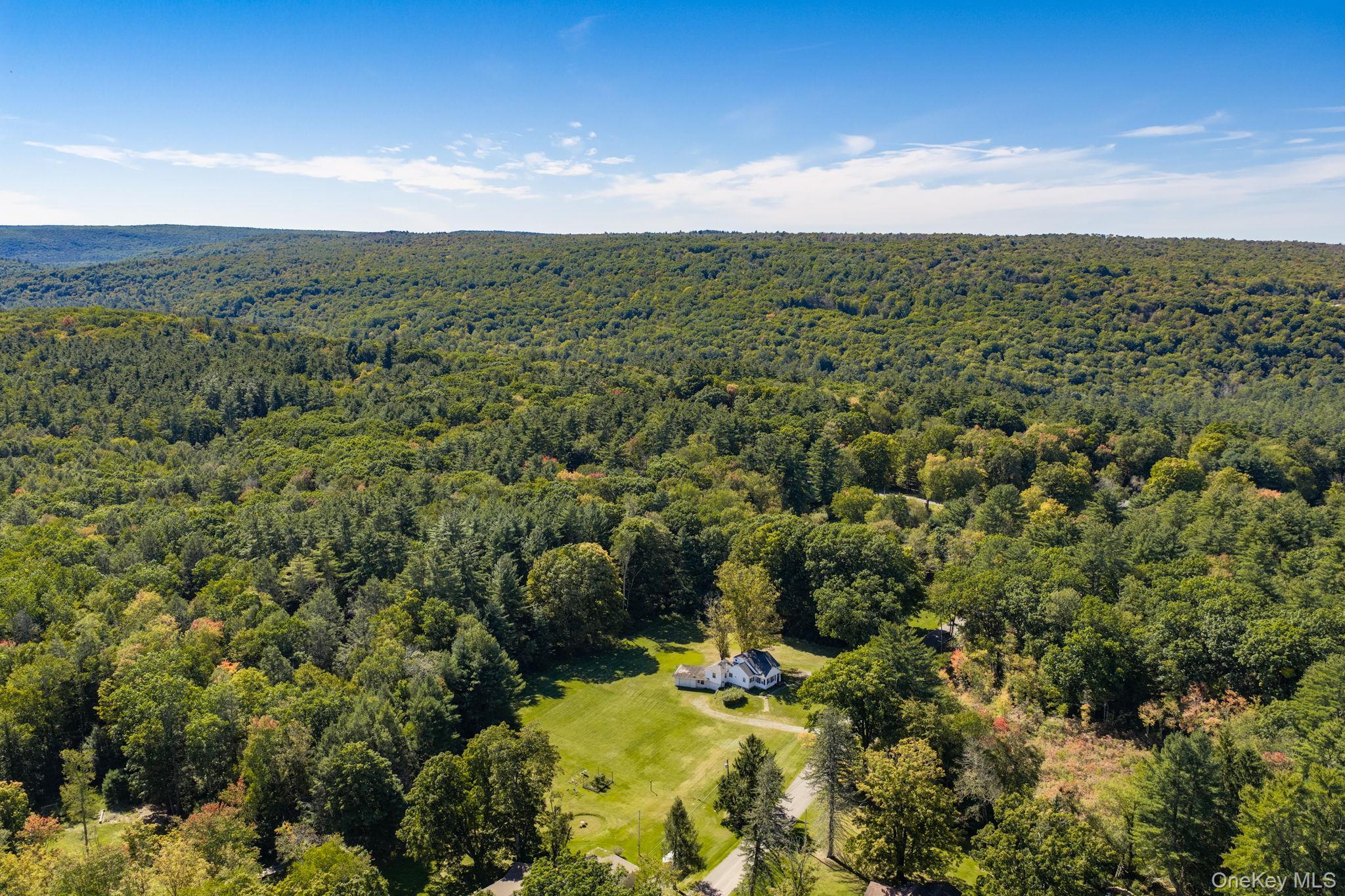 Single Family Wolf Lake Road  Sullivan County, NY 12775, MLS-1055414-38