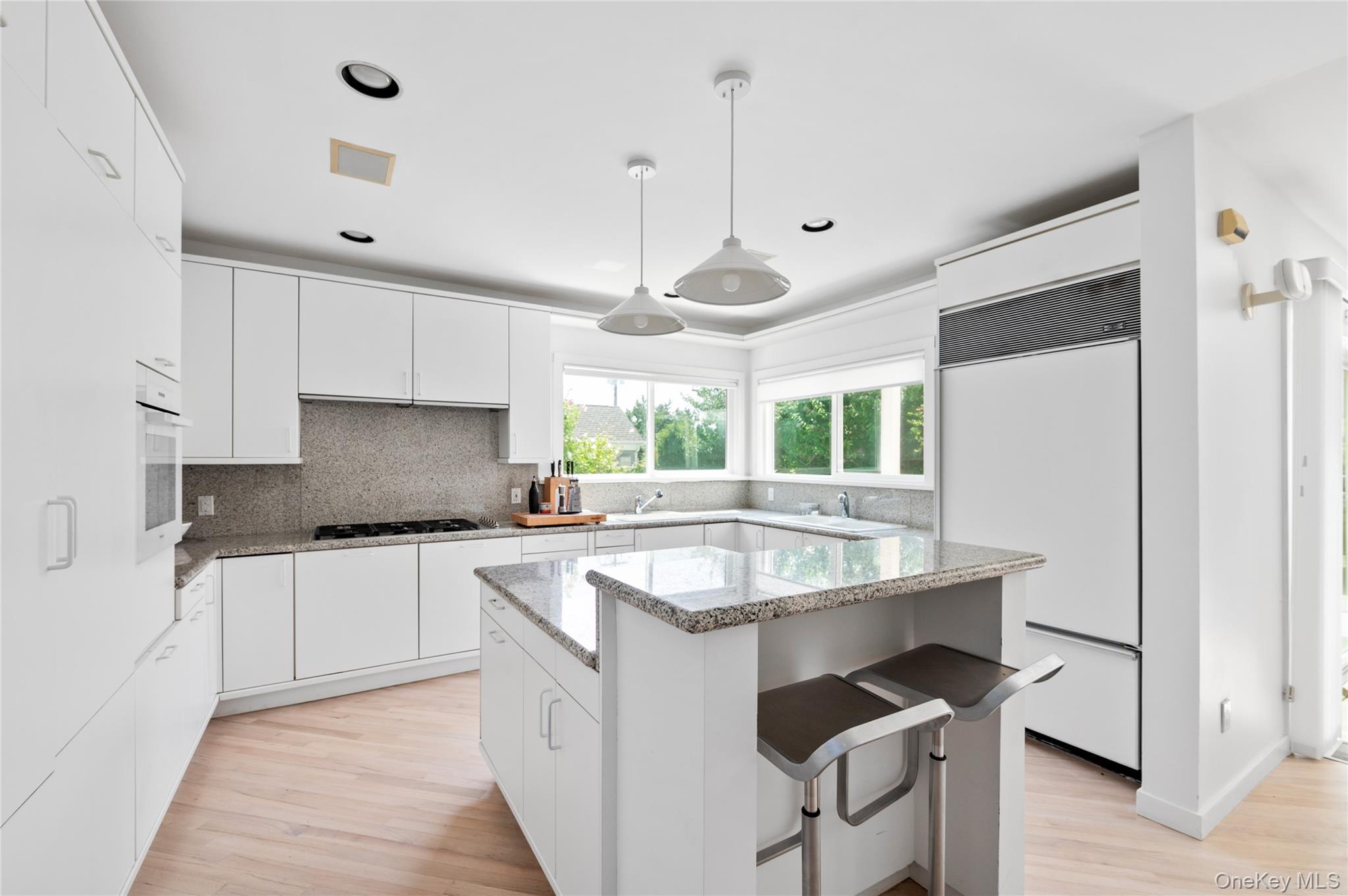 Single Family Fulton Avenue  Nassau County, NY 11509, MLS-1055472-8