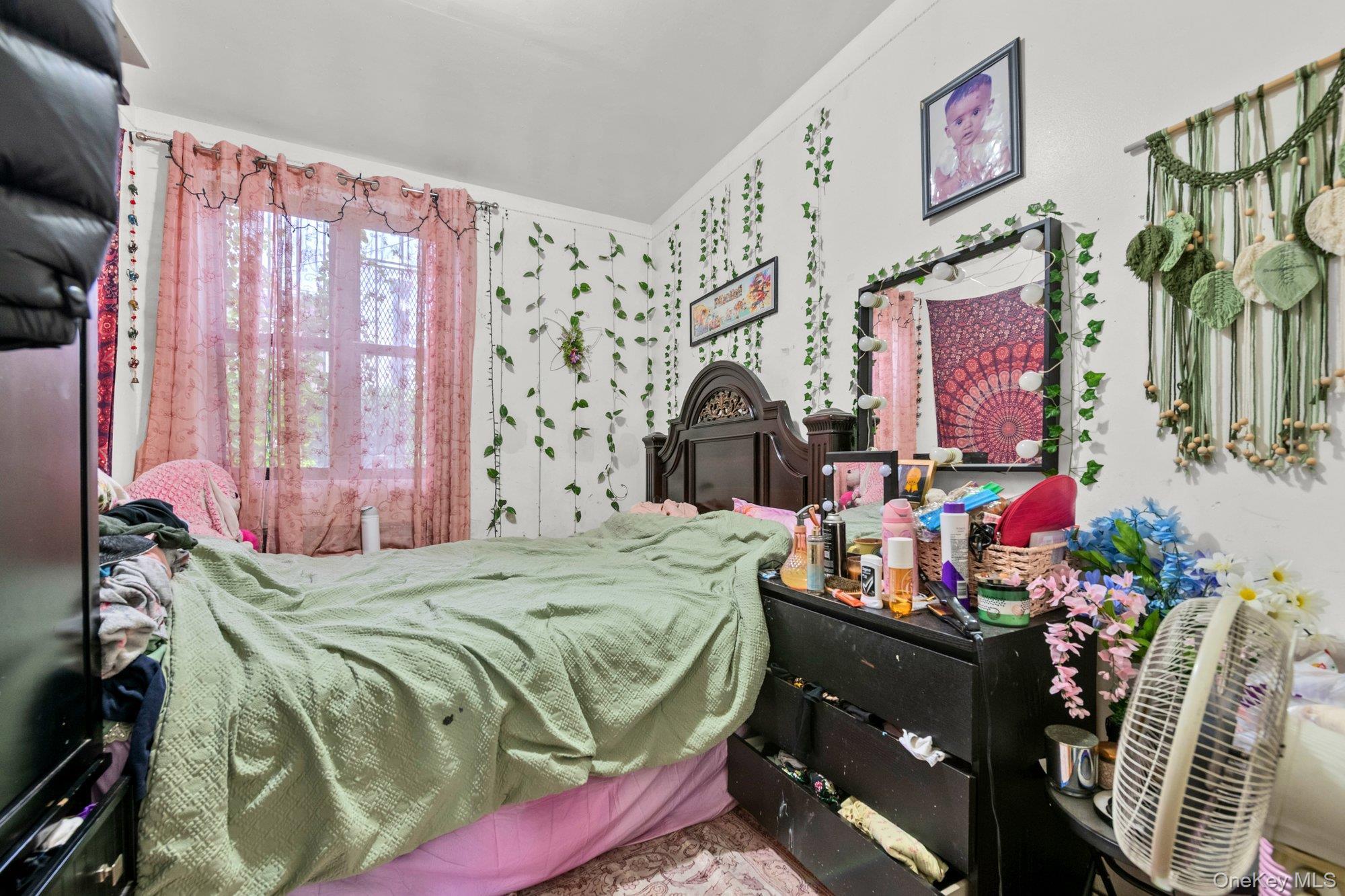 Single Family Herkimer Street  Brooklyn, NY 11233, MLS-1055527-11