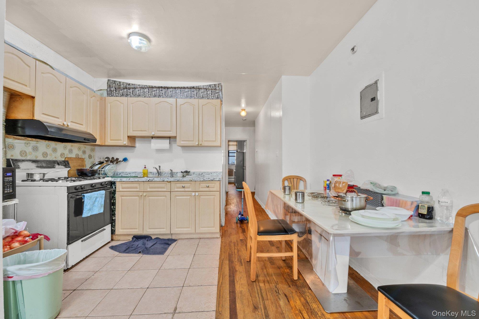 Single Family Herkimer Street  Brooklyn, NY 11233, MLS-1055527-19