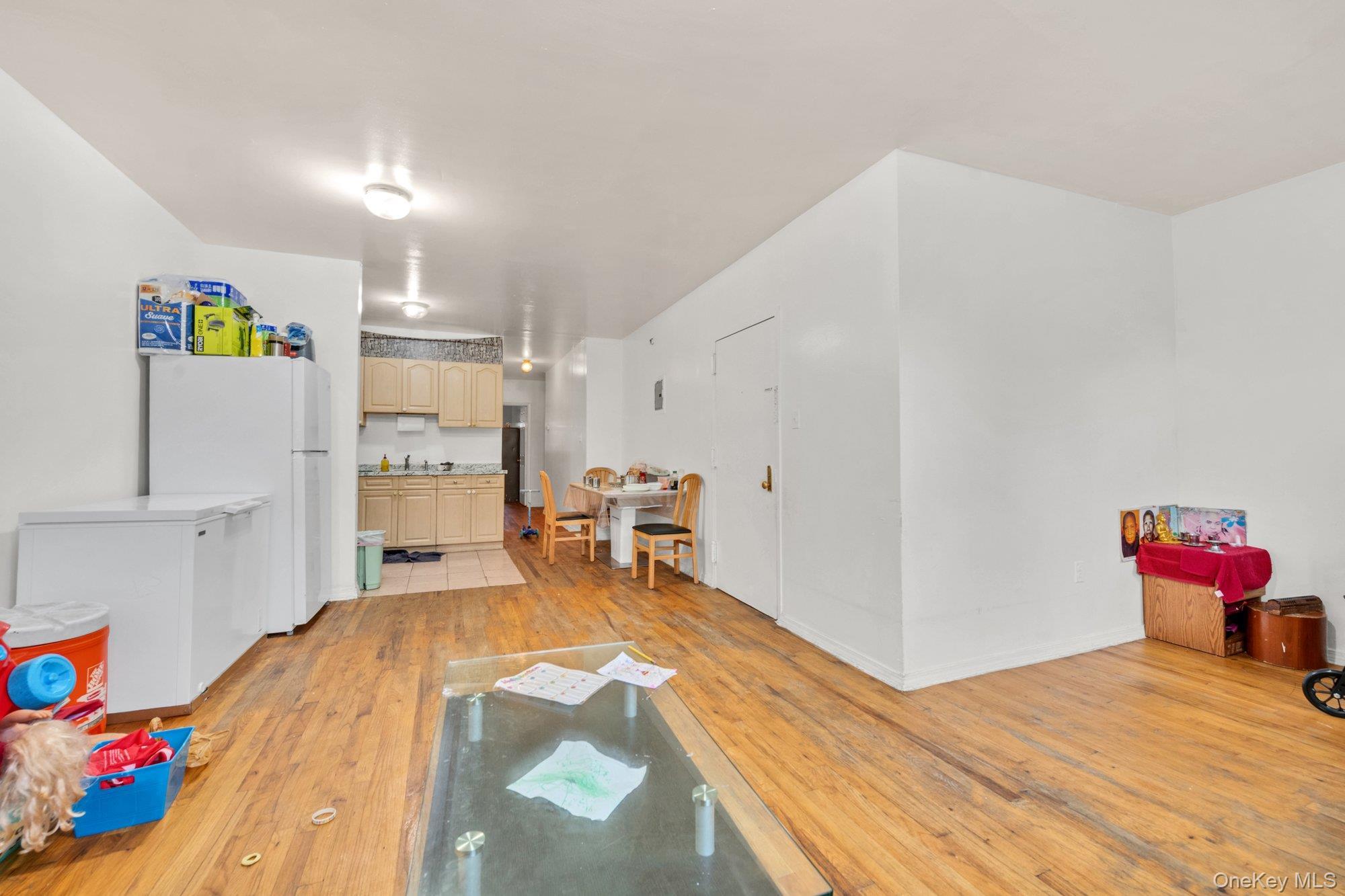Single Family Herkimer Street  Brooklyn, NY 11233, MLS-1055527-22