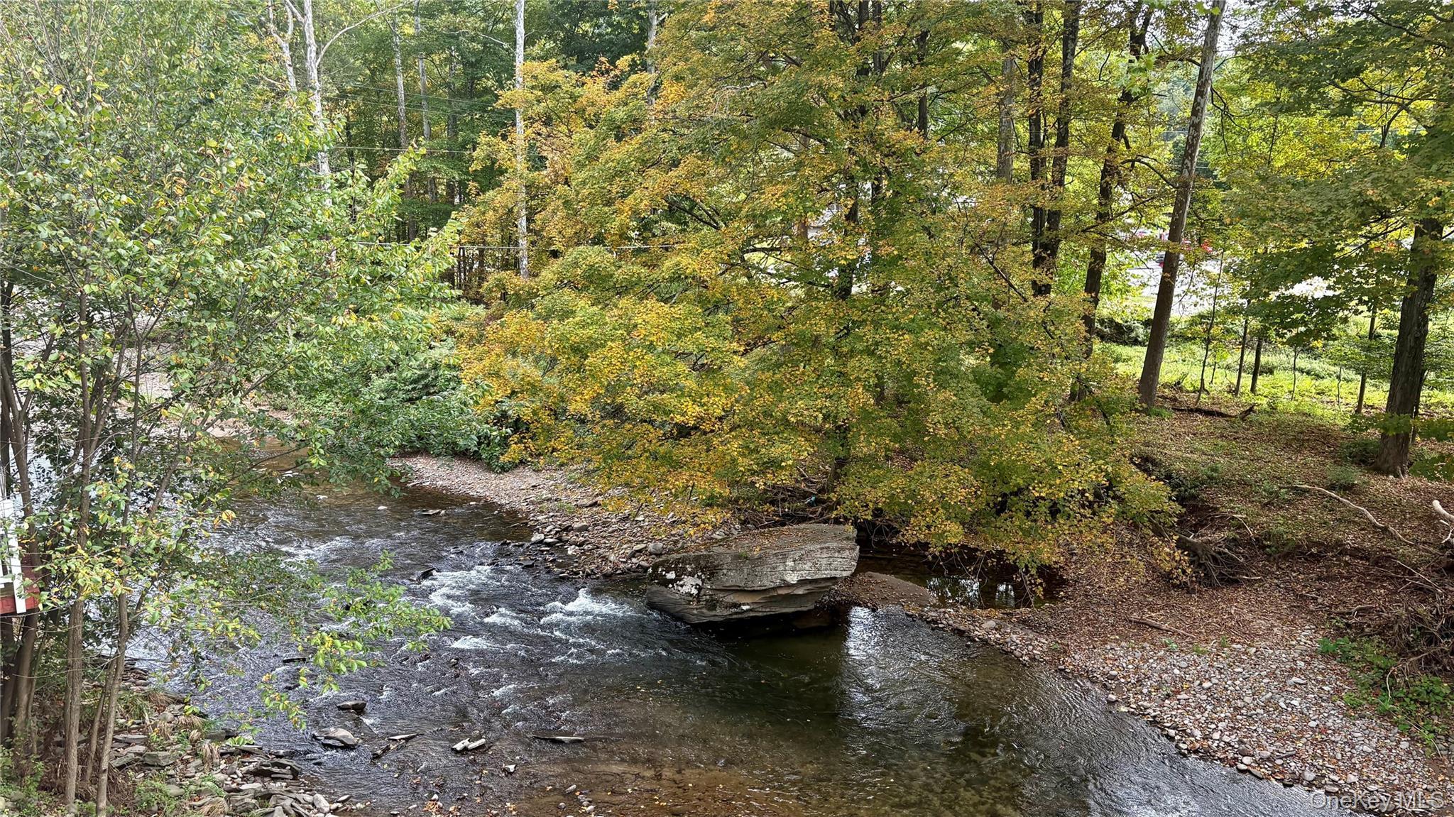 Single Family County Route 121 Sullivan County, NY 12723, MLS-1055547-2