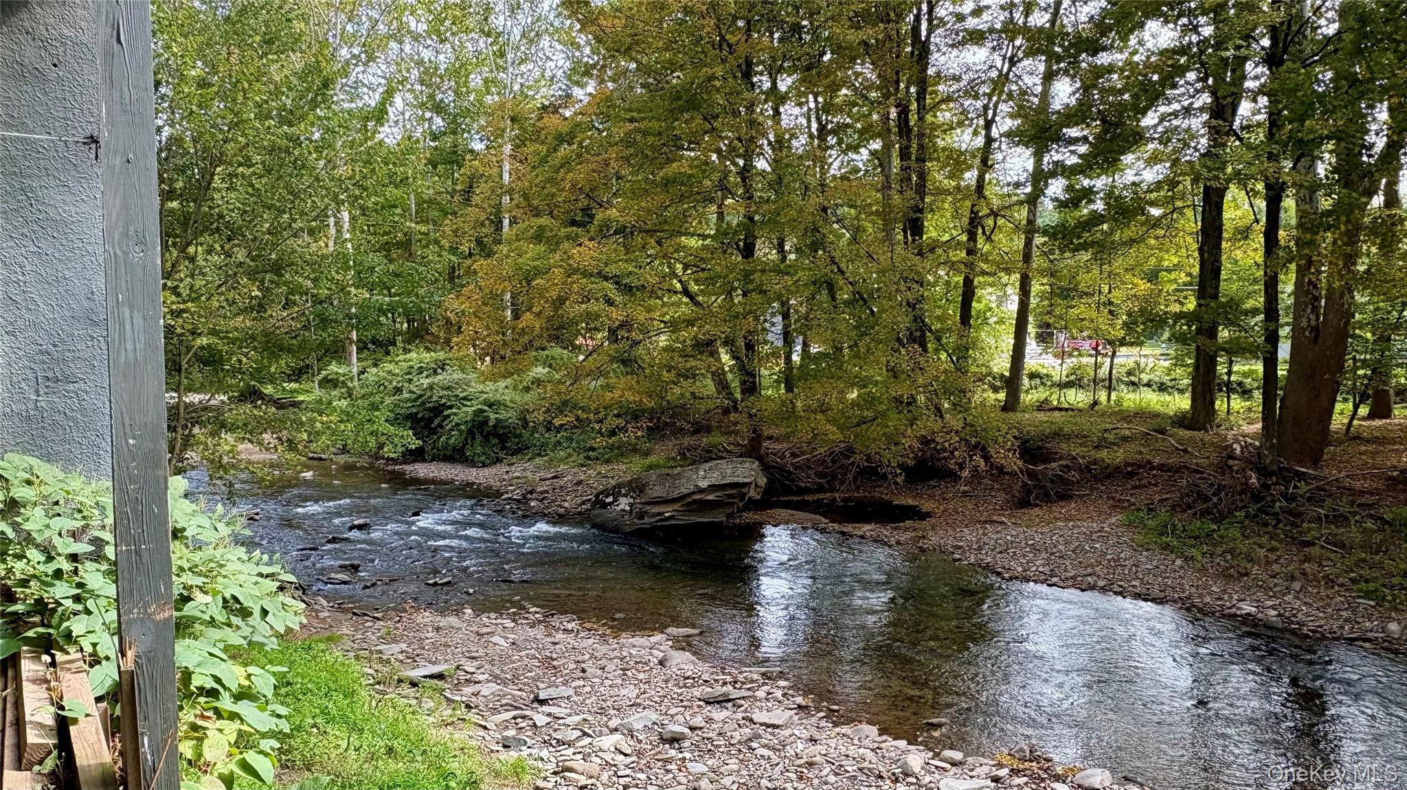Single Family County Route 121 Sullivan County, NY 12723, MLS-1055547-7