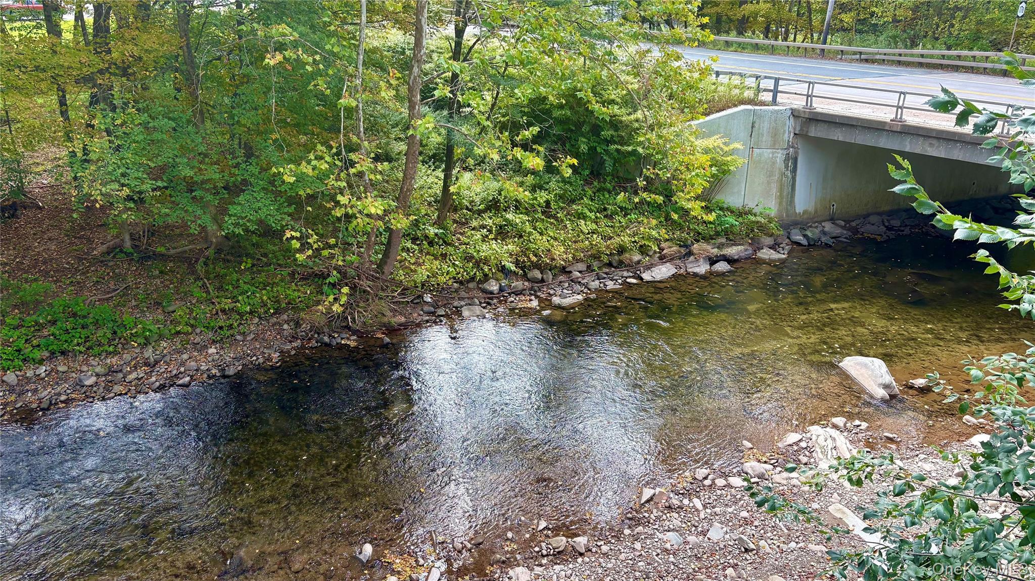 Single Family County Route 121 Sullivan County, NY 12723, MLS-1055547-8