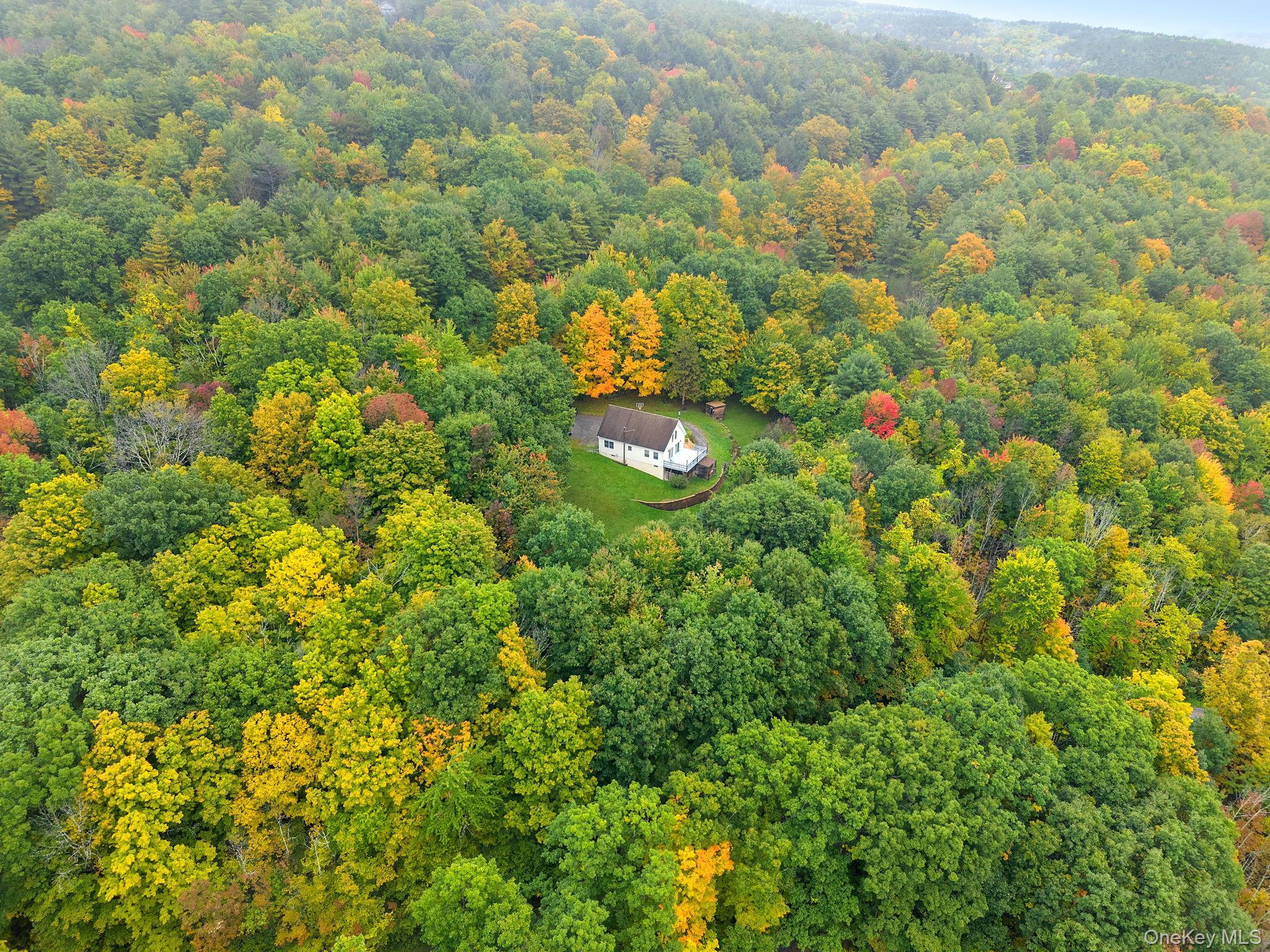 Single Family High Pine Meadows Rd,  Middleburgh Ny Road  Out Of Area, NY 12122, MLS-1055651-48