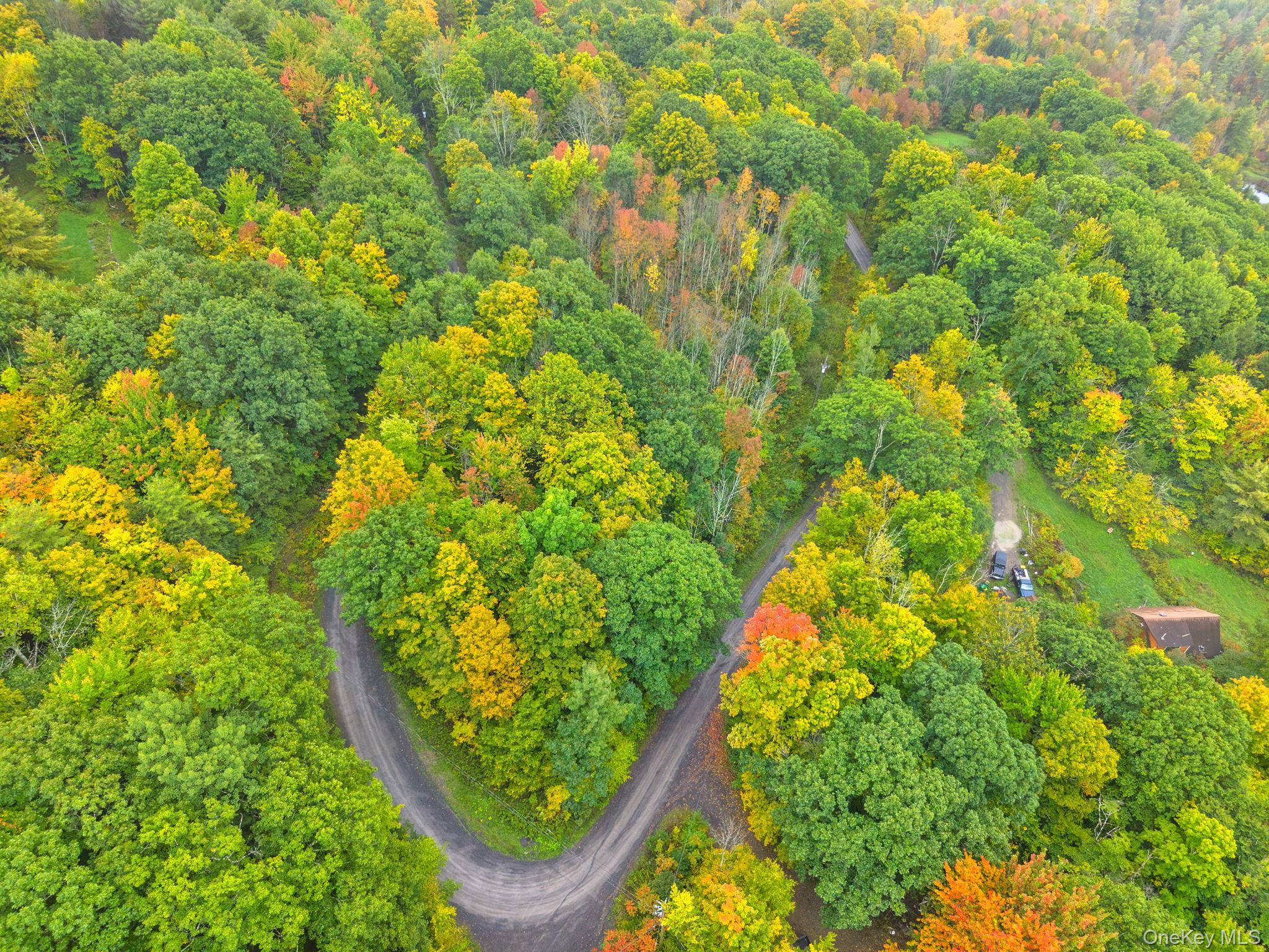 Single Family High Pine Meadows Rd,  Middleburgh Ny Road  Out Of Area, NY 12122, MLS-1055651-49