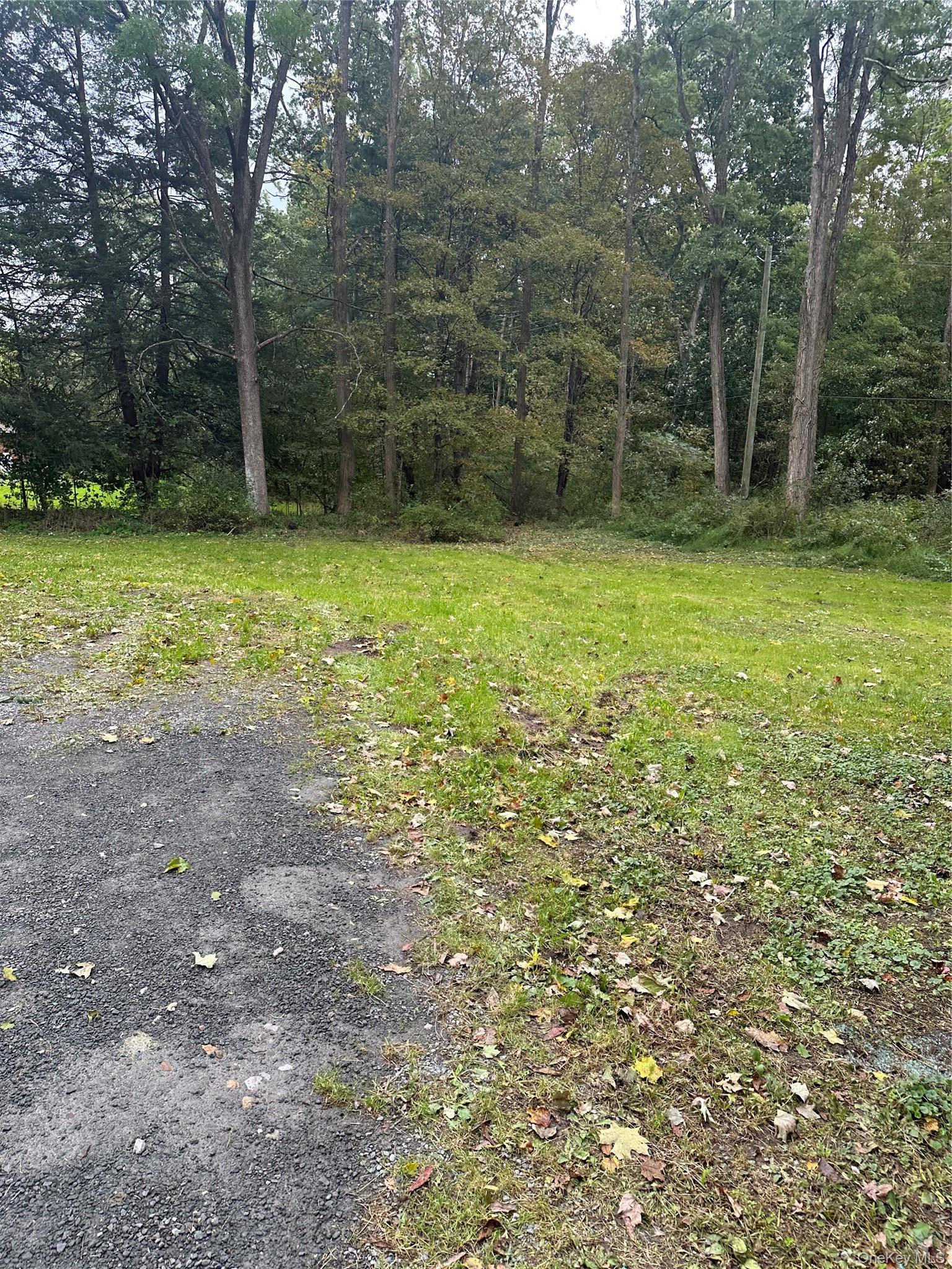 Single Family Mccune Place  Sullivan County, NY 12790, MLS-1055659-3
