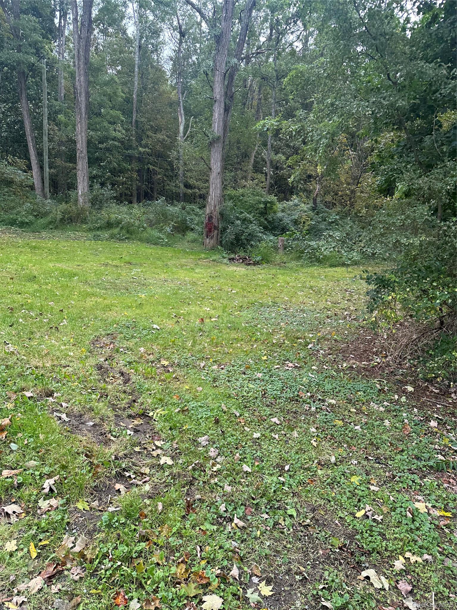Single Family Mccune Place  Sullivan County, NY 12790, MLS-1055659-4
