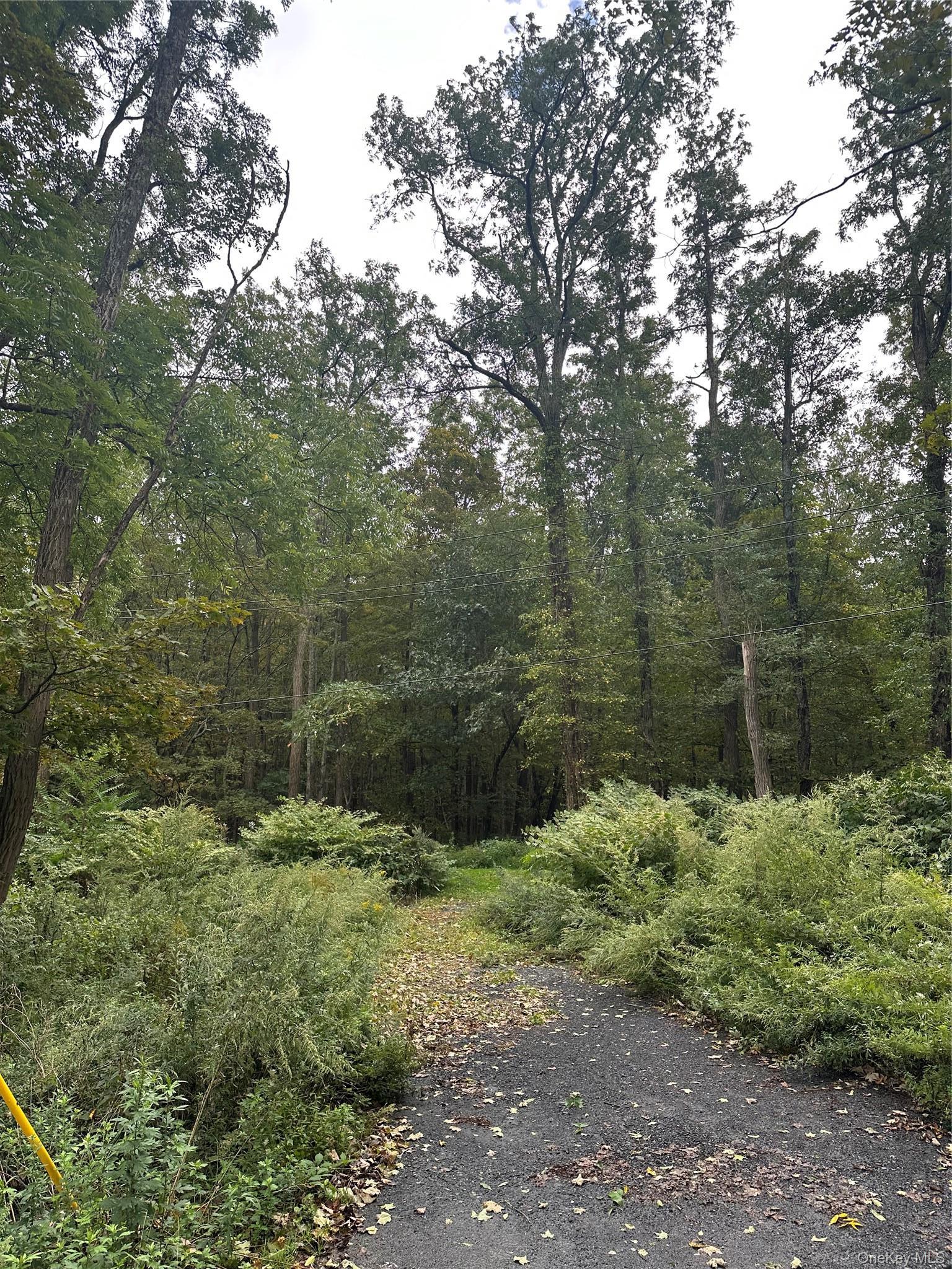 Single Family Mccune Place  Sullivan County, NY 12790, MLS-1055659-6