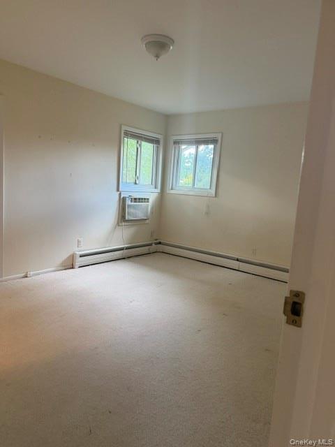 Single Family Cedar Street Nassau County, NY 11791, MLS-1055703-3