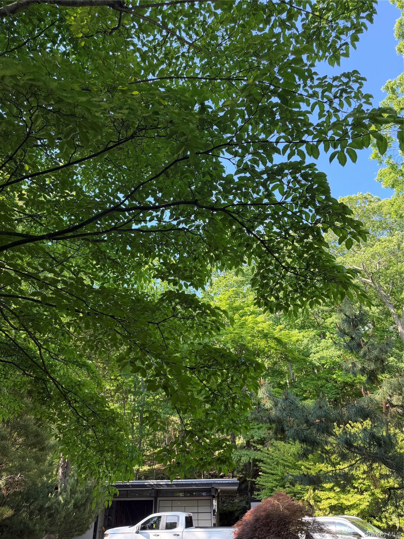 Single Family Roaring Brook Road Westchester County, NY 10514, MLS-1055737-4