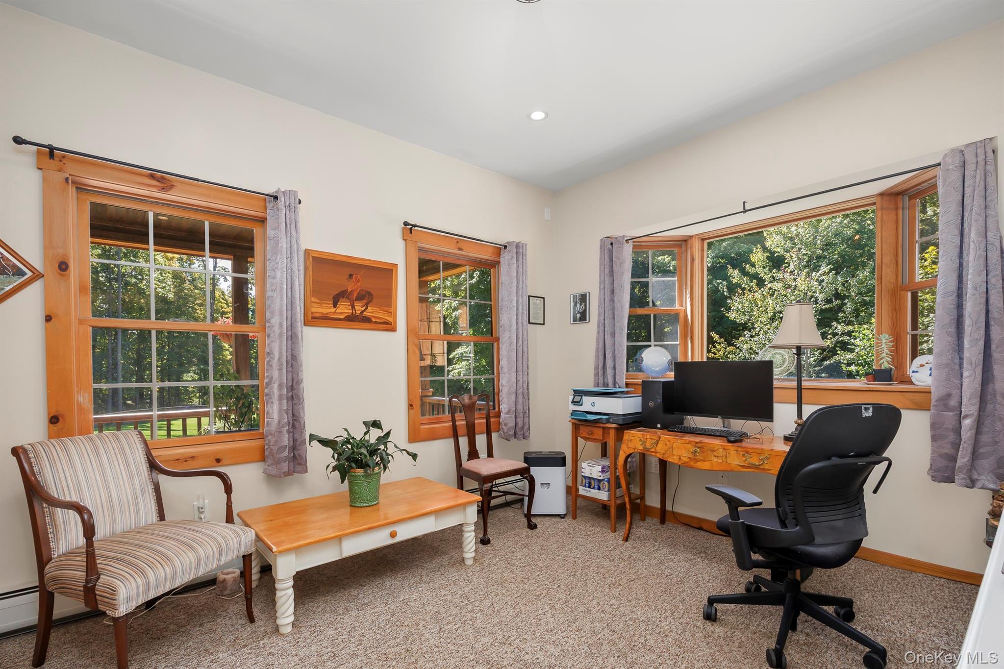 Single Family Appaloosa Lane Dutchess County, NY 12545, MLS-1055857-18