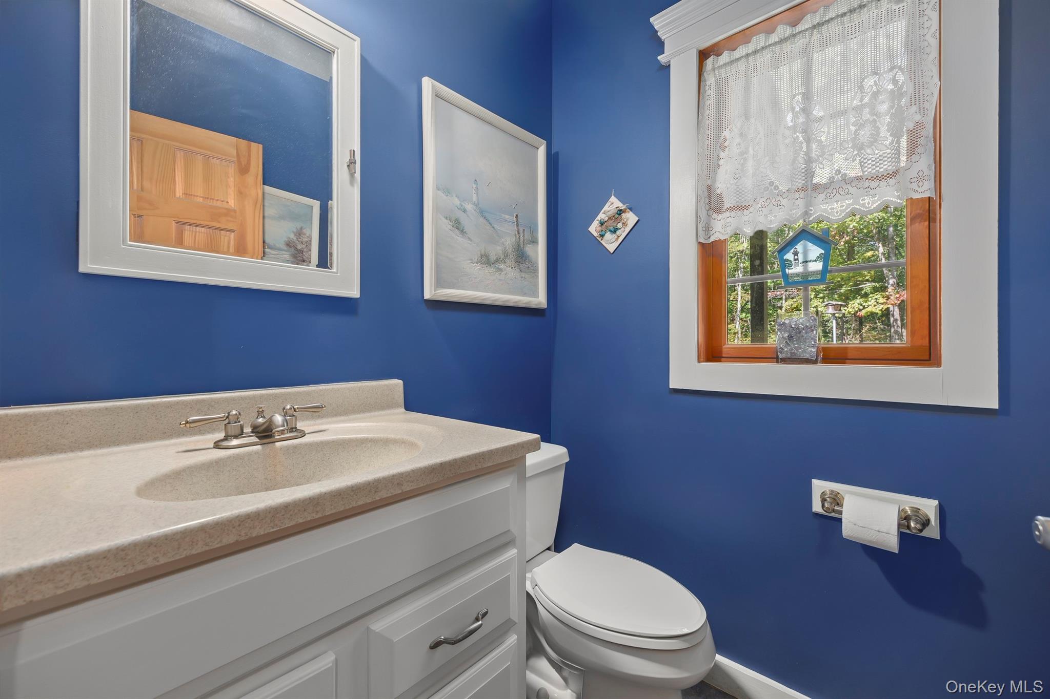 Single Family Appaloosa Lane Dutchess County, NY 12545, MLS-1055857-19