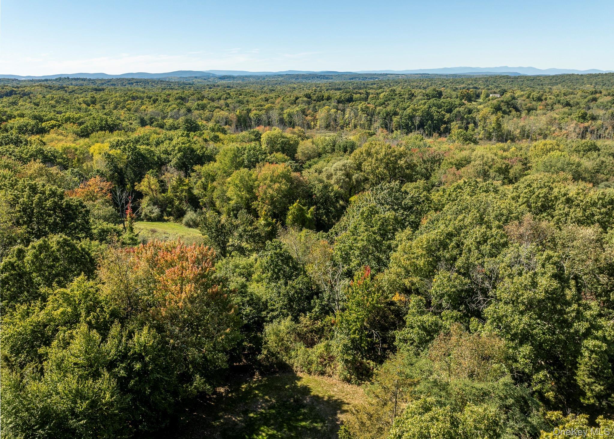 Single Family Masten Road Dutchess County, NY 12569, MLS-1055868-32