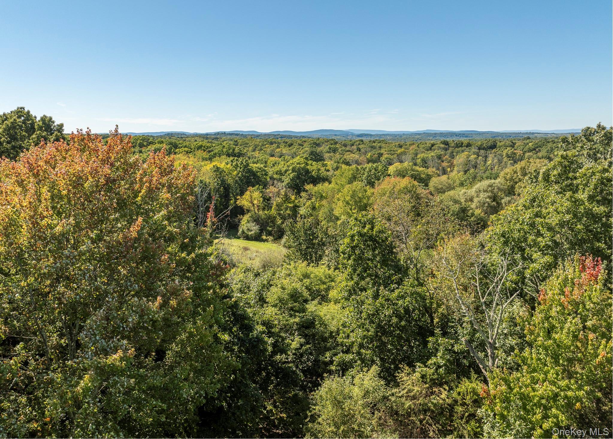 Single Family Masten Road Dutchess County, NY 12569, MLS-1055868-33
