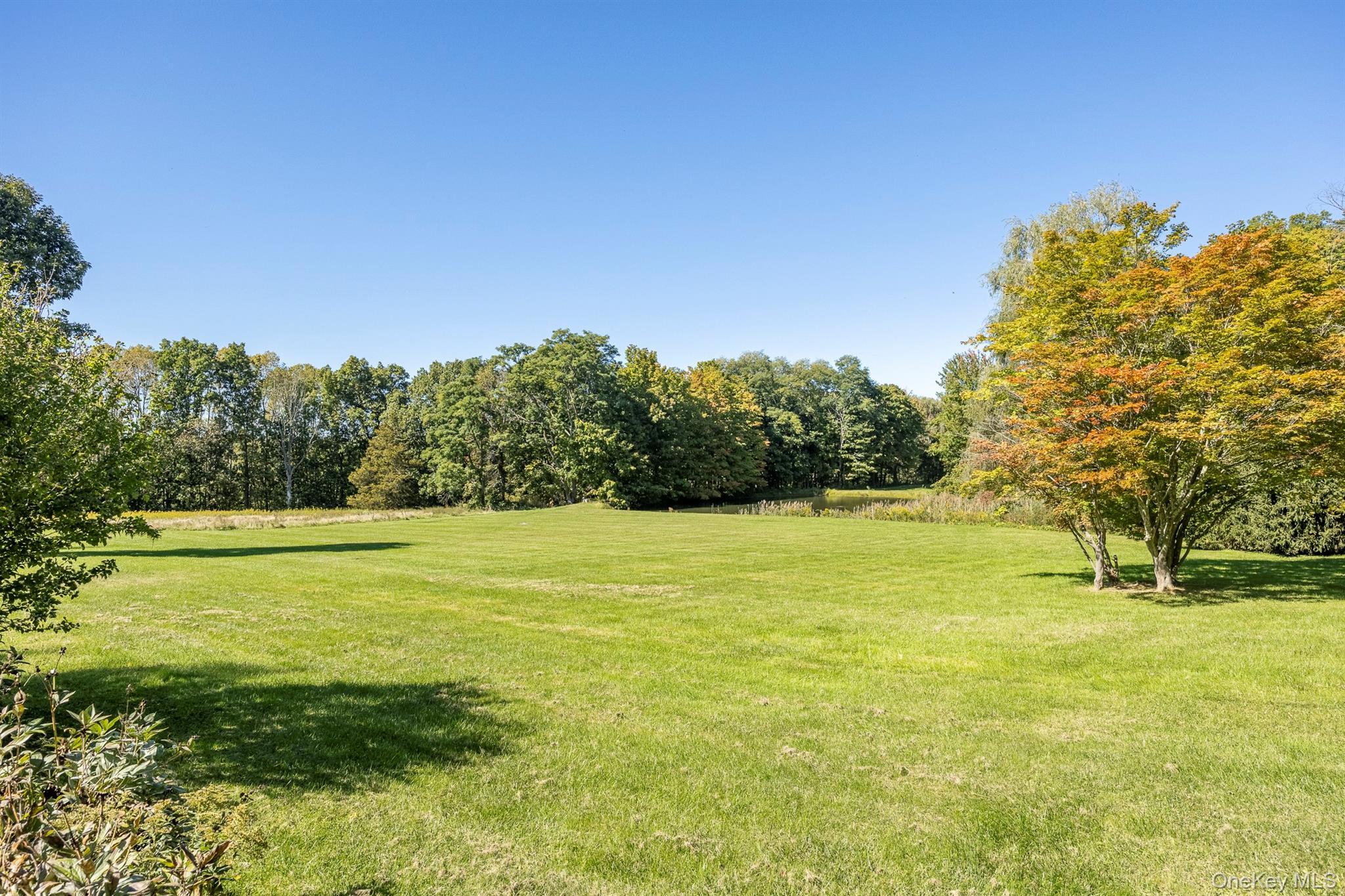 Single Family Masten Road Dutchess County, NY 12569, MLS-1055868-4