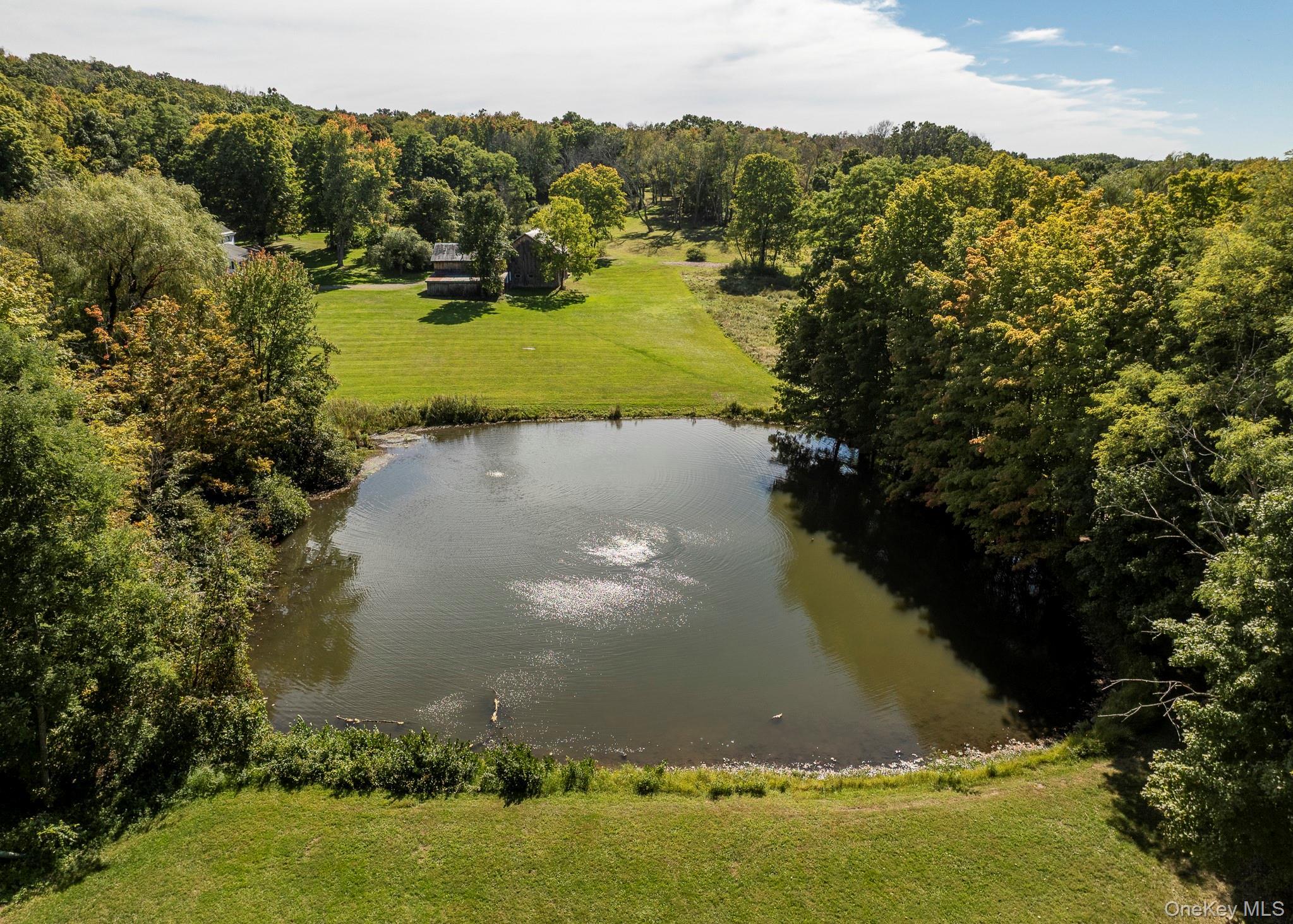 Single Family Masten Road Dutchess County, NY 12569, MLS-1055868-6