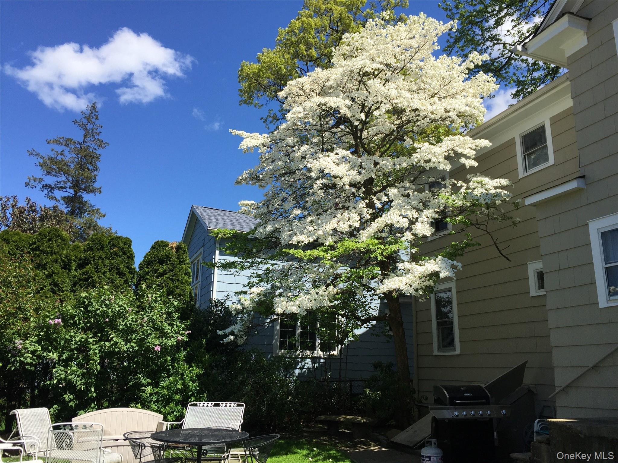 Single Family 34th Avenue Queens, NY 11361, MLS-1055880-19