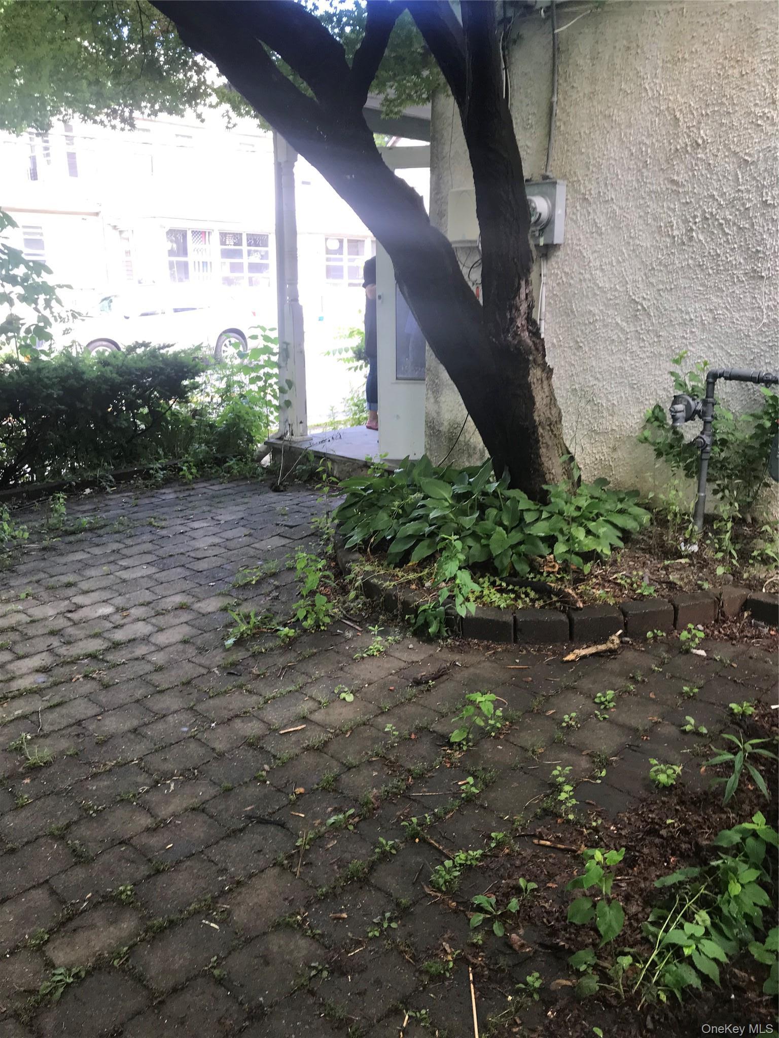 Single Family Snowden Avenue  Westchester County, NY 10562, MLS-1055905-4
