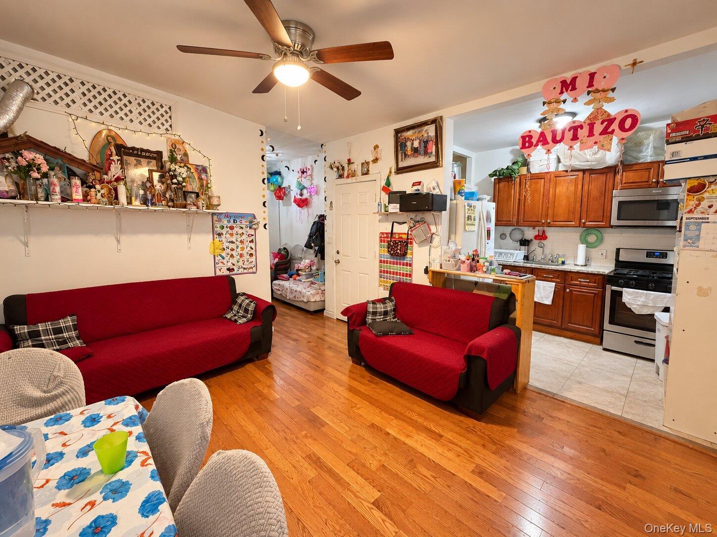 Single Family Mother Gaston Boulevard  Brooklyn, NY 11233, MLS-1055961-16