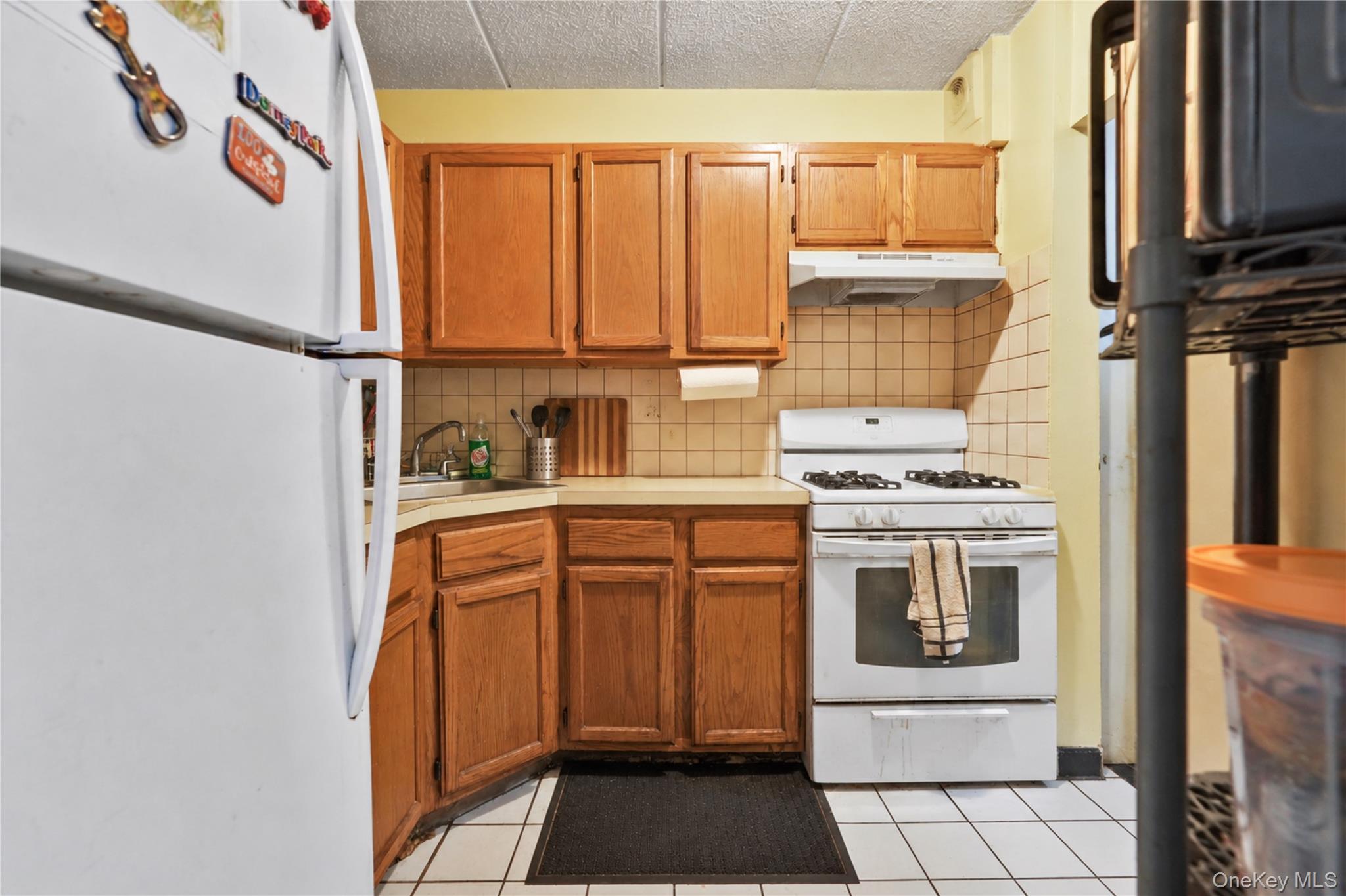 Single Family Home Street  Bronx, NY 10459, MLS-1055987-8