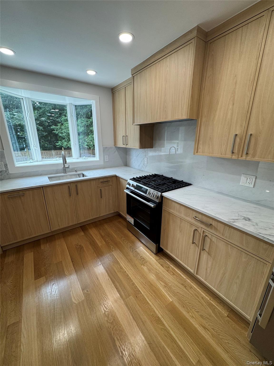 Single Family Willow Street Nassau County, NY 11577, MLS-1055998-14
