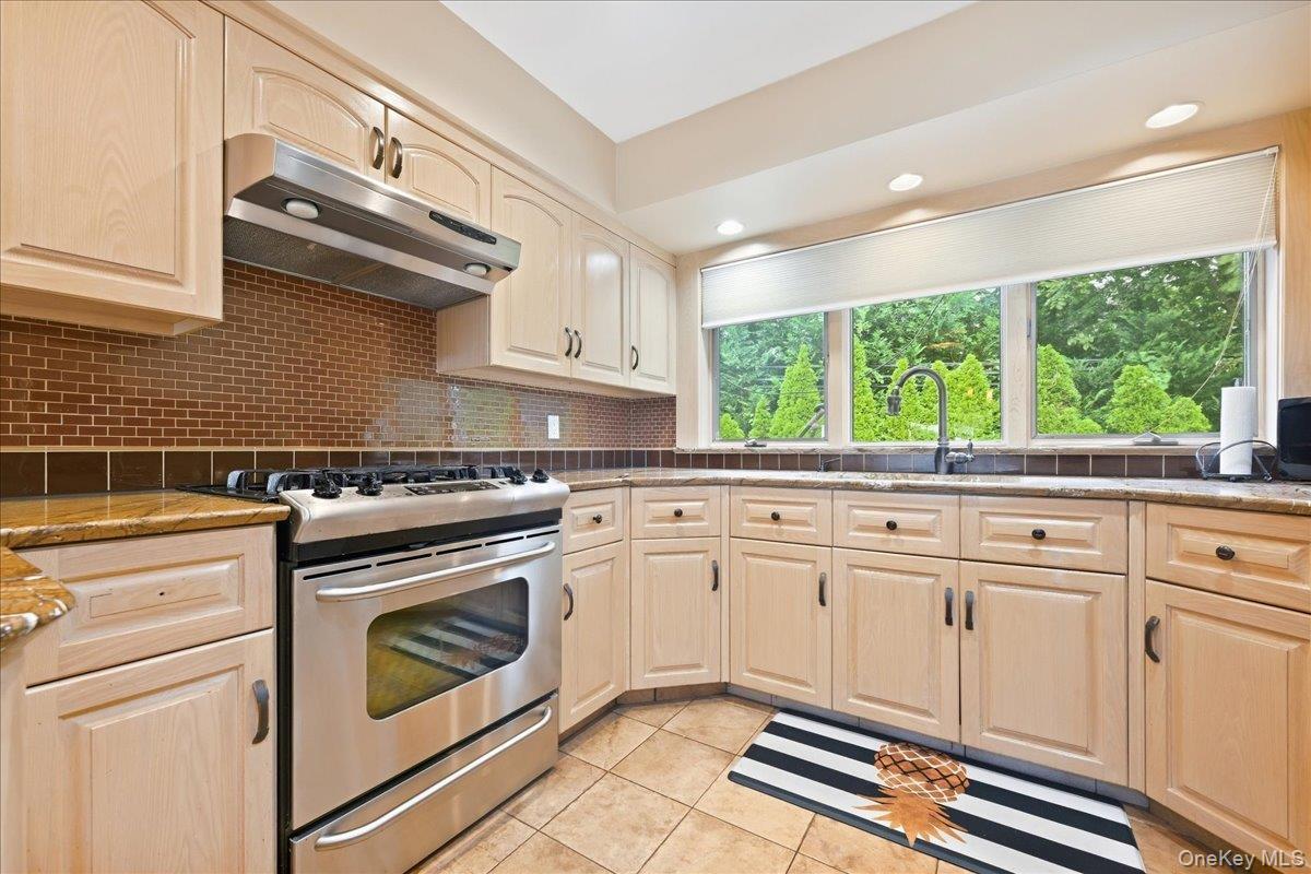 Single Family Royal Way Nassau County, NY 11040, MLS-1056033-12