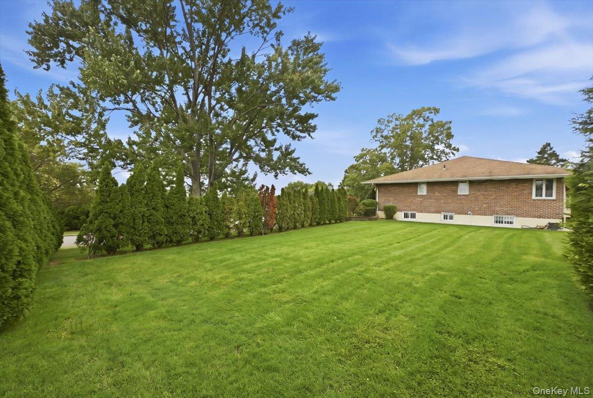 Single Family Royal Way Nassau County, NY 11040, MLS-1056033-39