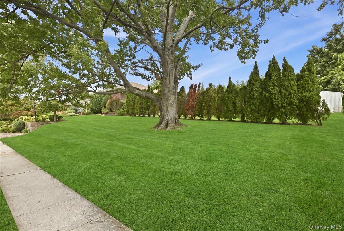 Single Family Royal Way  Nassau County, NY 11040, MLS-1056033-41